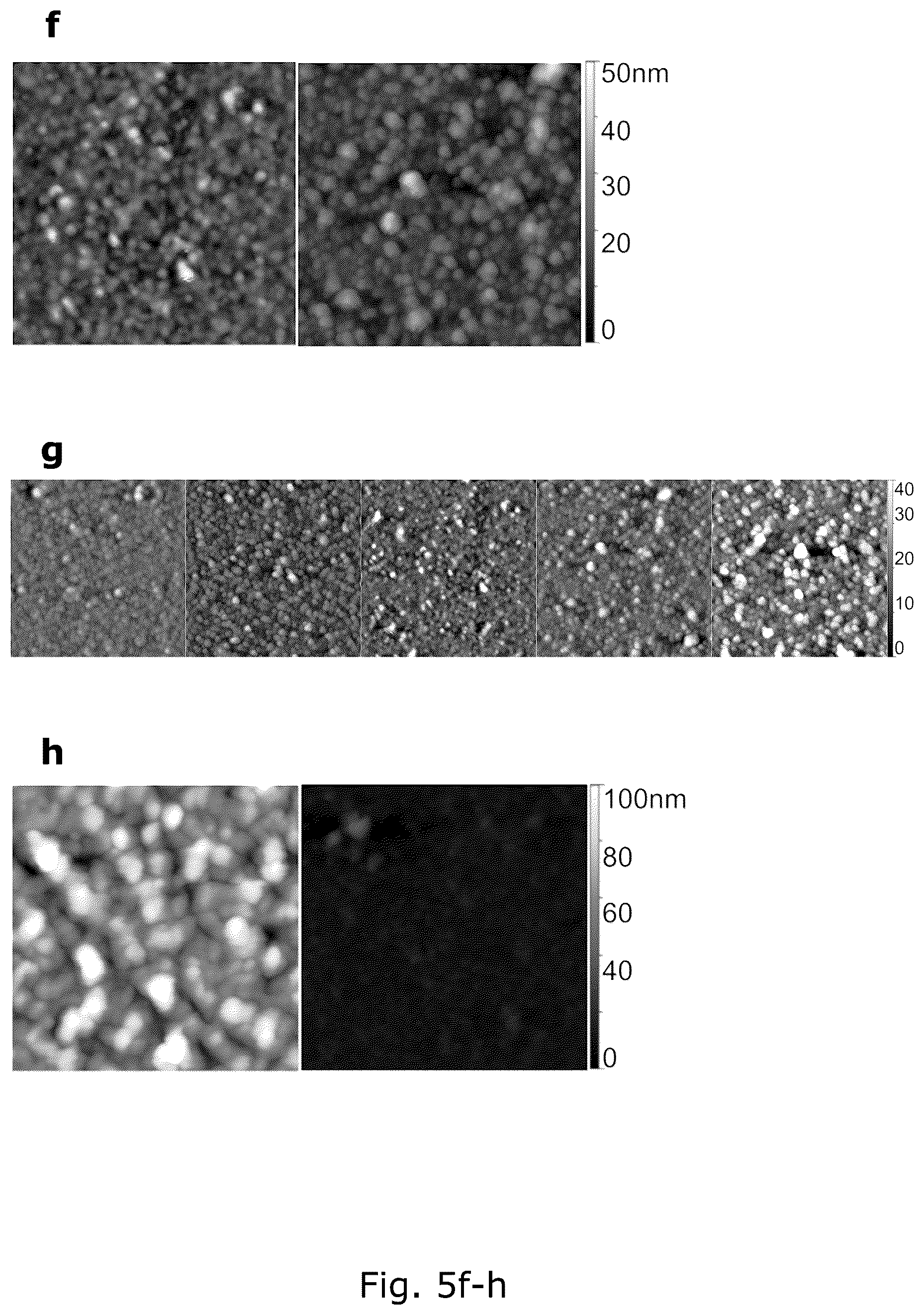 Patent US12104078 Figure 9 – Insect corneal type nanocoatings