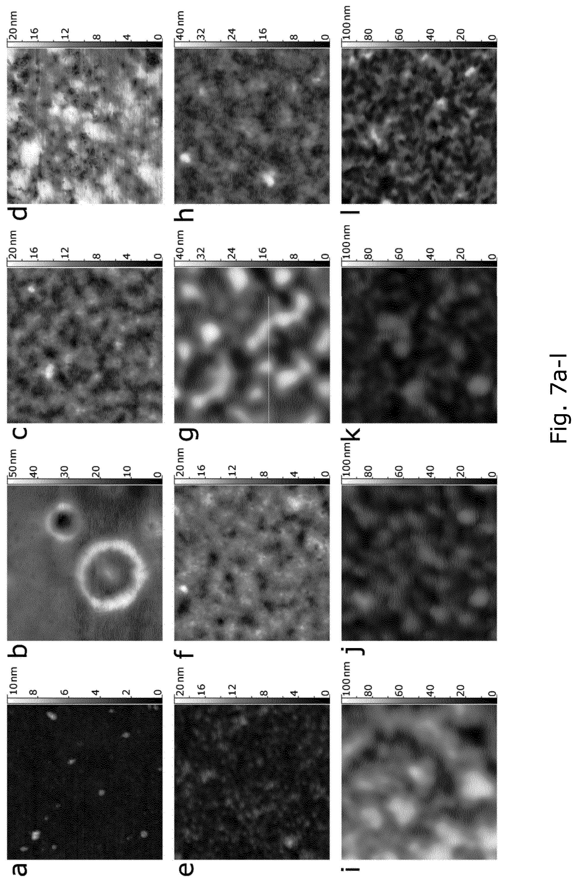 Patent US12104078 Figure 11 – Insect corneal type nanocoatings