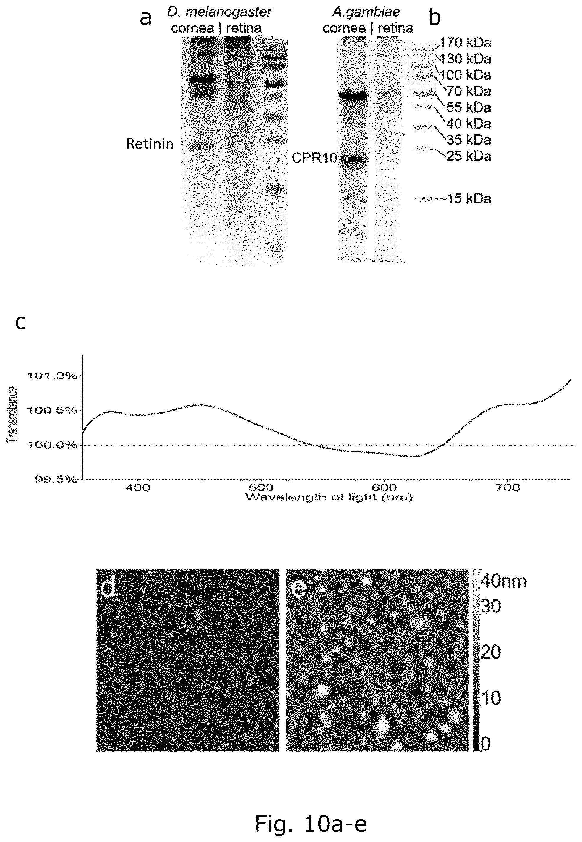 Patent US12104078 Figure 14 – Insect corneal type nanocoatings