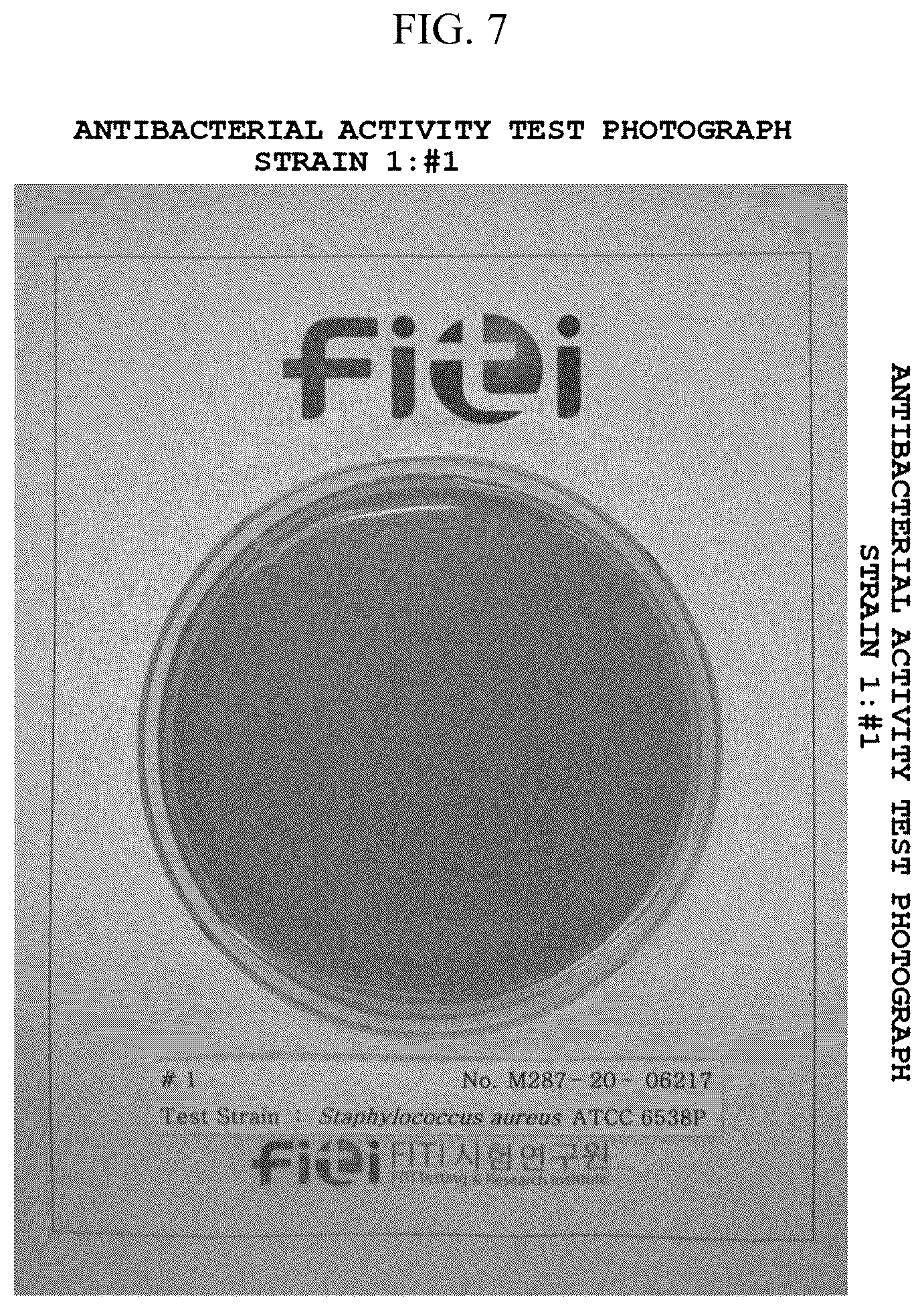 Patent US12104080 Figure 7 – Antibacterial and heat-shielding composition for window film, method of producing window film using the same, and window film produced thereby