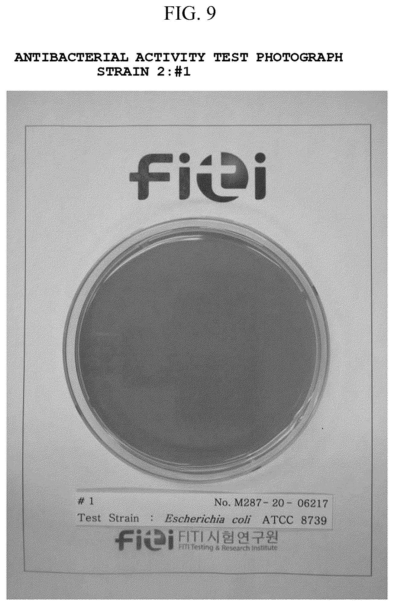 Patent US12104080 Figure 9 – Antibacterial and heat-shielding composition for window film, method of producing window film using the same, and window film produced thereby