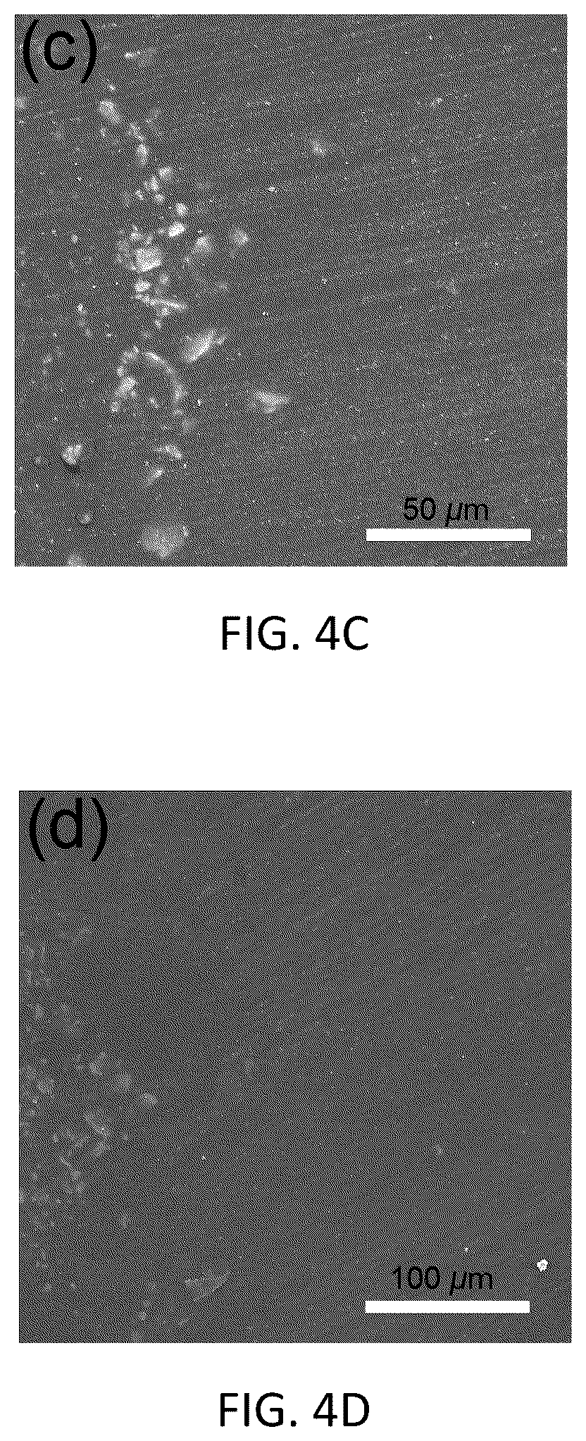 Patent US12104103 Figure 5 – Photoluminescent polypropylene nanofibers-reinforced polyethylene terephthalate embedded with strontium aluminate phosphor