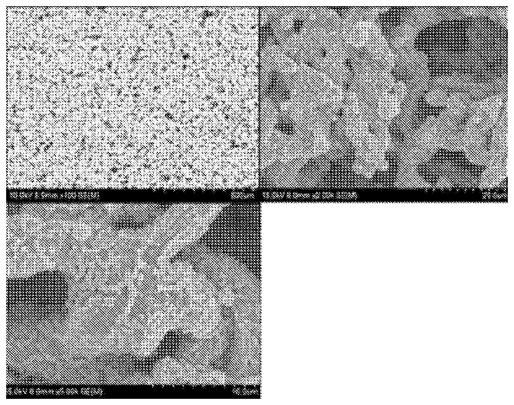 Patent US12104115 Figure 1 – Composite material
