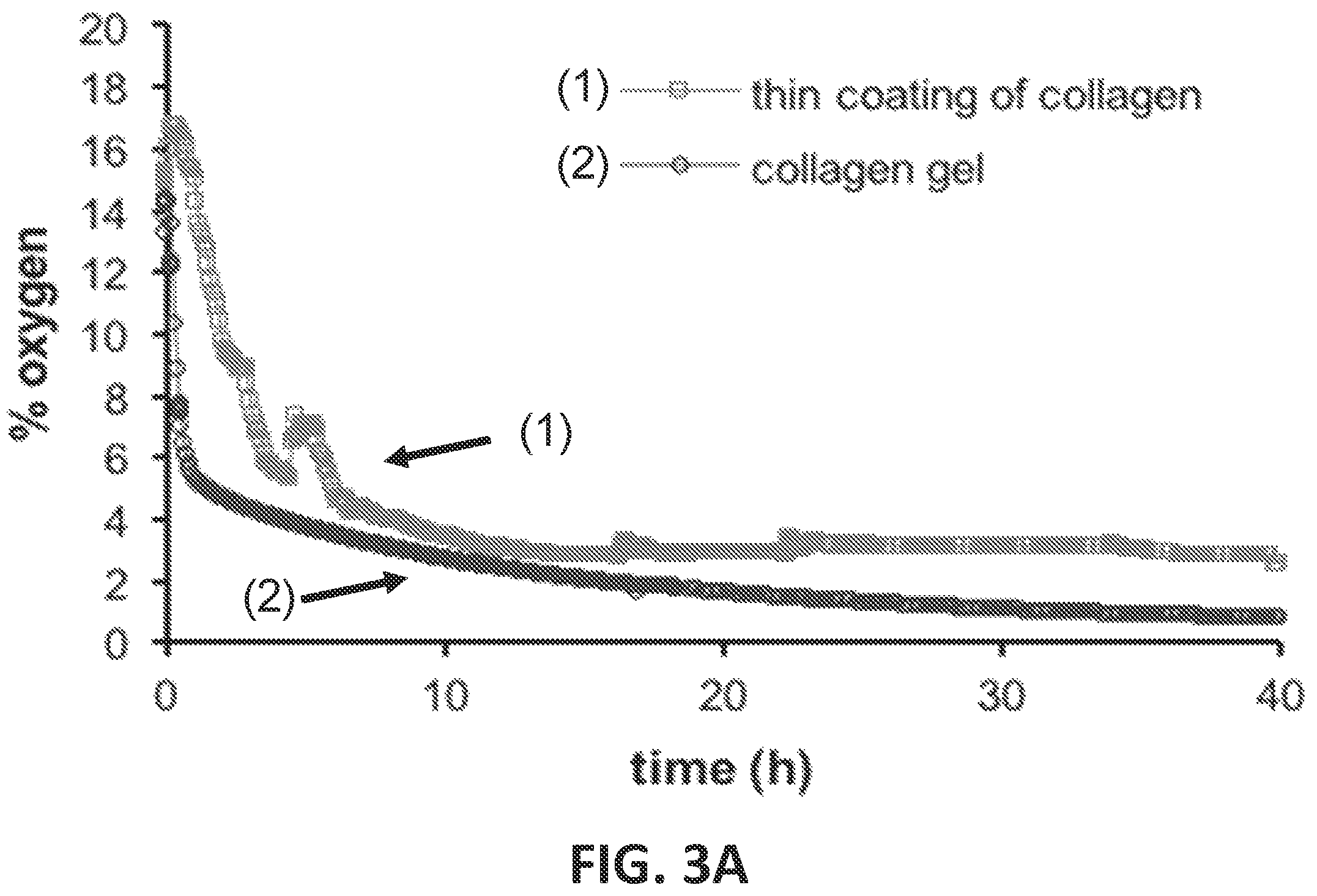 Patent US12104149 Figure 13 – Devices, systems and apparatuses for generating self-sustaining hypoxic conditions and gaseous and non-gaseous chemical gradients for in vitro cell culture