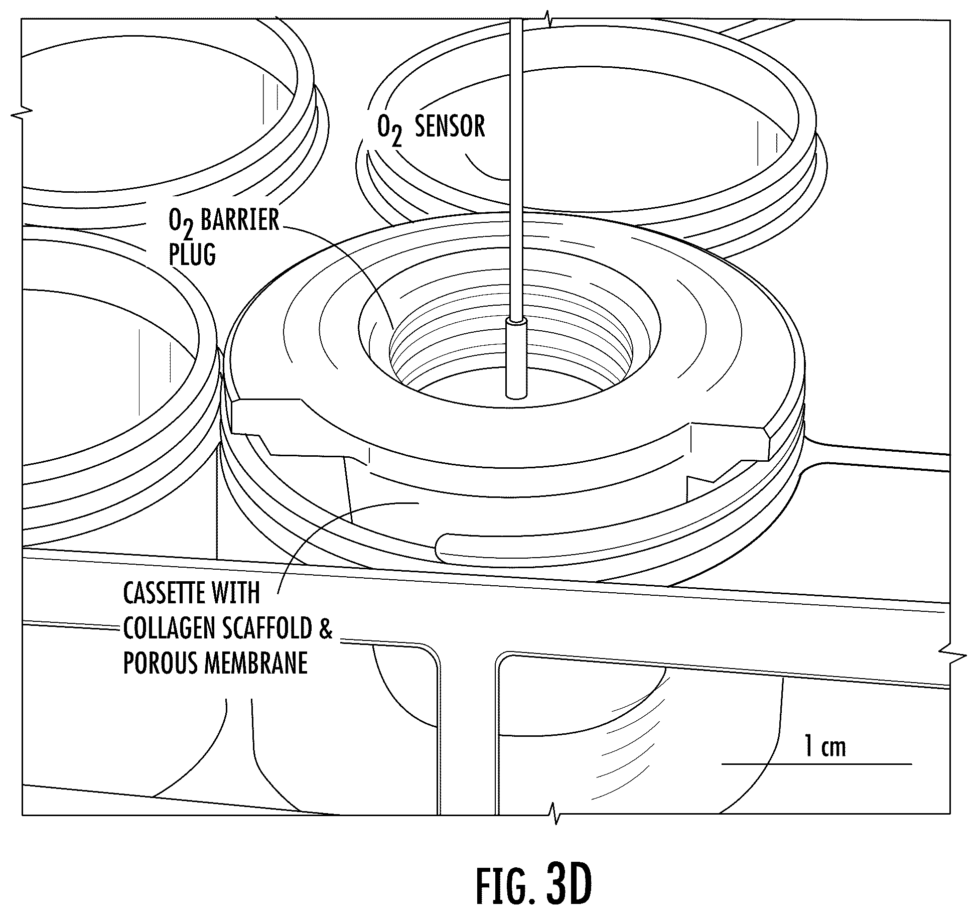 Patent US12104149 Figure 15 – Devices, systems and apparatuses for generating self-sustaining hypoxic conditions and gaseous and non-gaseous chemical gradients for in vitro cell culture