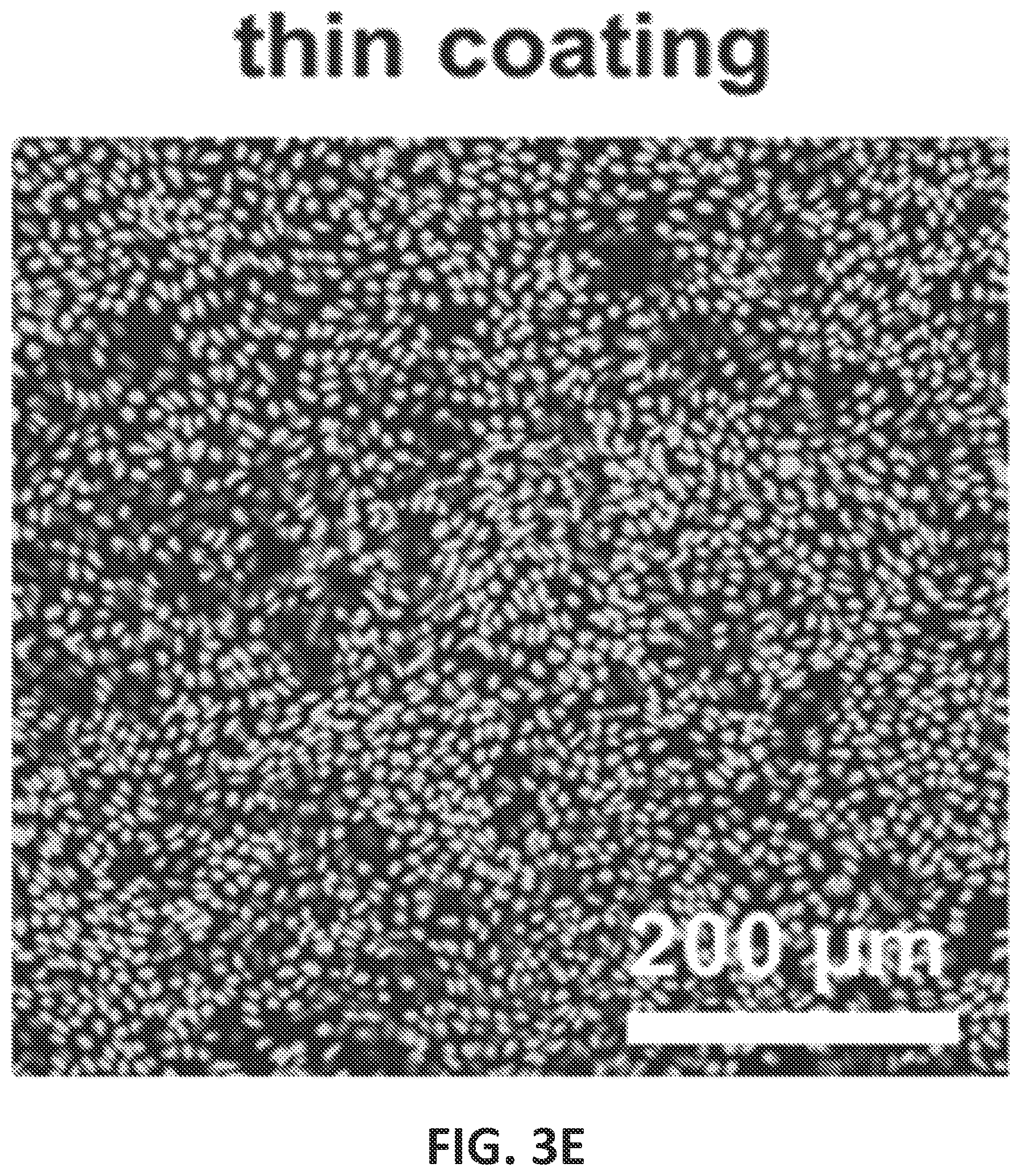 Patent US12104149 Figure 16 – Devices, systems and apparatuses for generating self-sustaining hypoxic conditions and gaseous and non-gaseous chemical gradients for in vitro cell culture