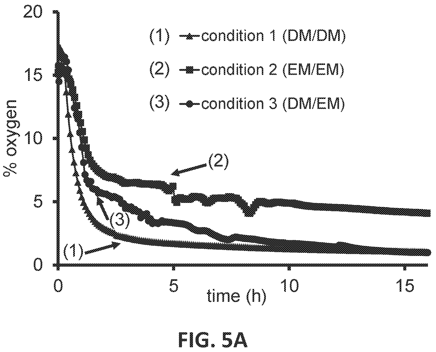 Patent US12104149 Figure 20 – Devices, systems and apparatuses for generating self-sustaining hypoxic conditions and gaseous and non-gaseous chemical gradients for in vitro cell culture