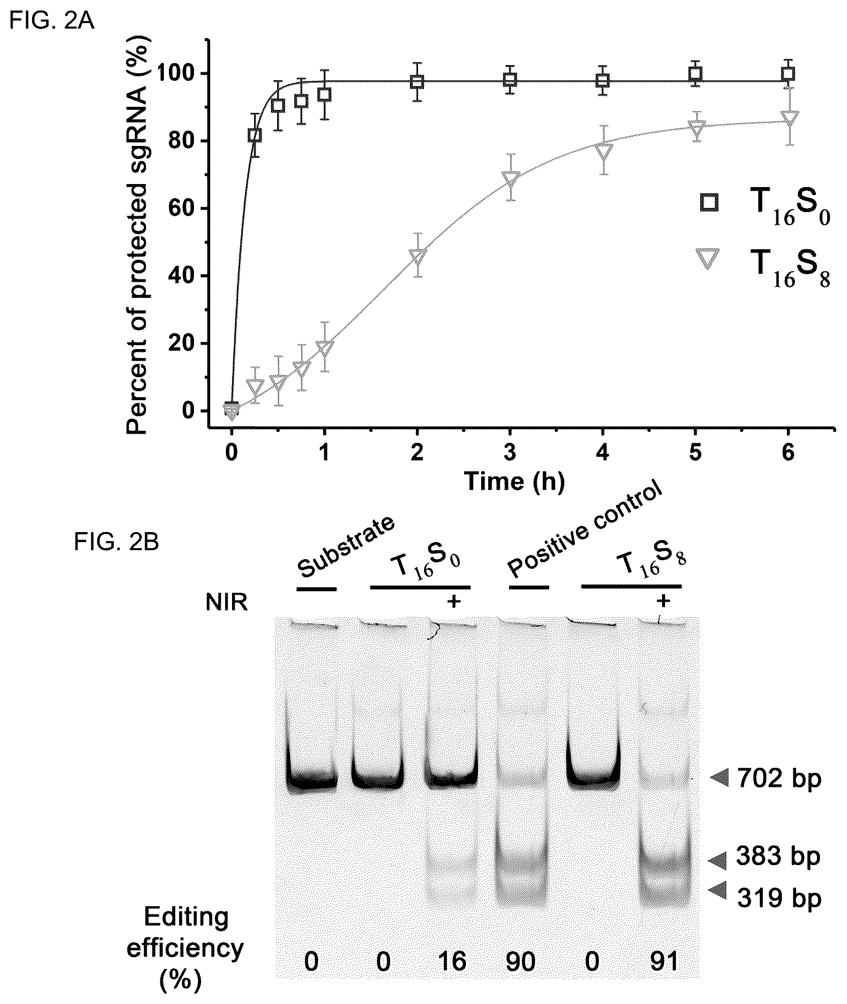 Patent US12104150 Figure 2 – Near-infrared photothermally activated CRISPR/CAS9 genome editing machine
