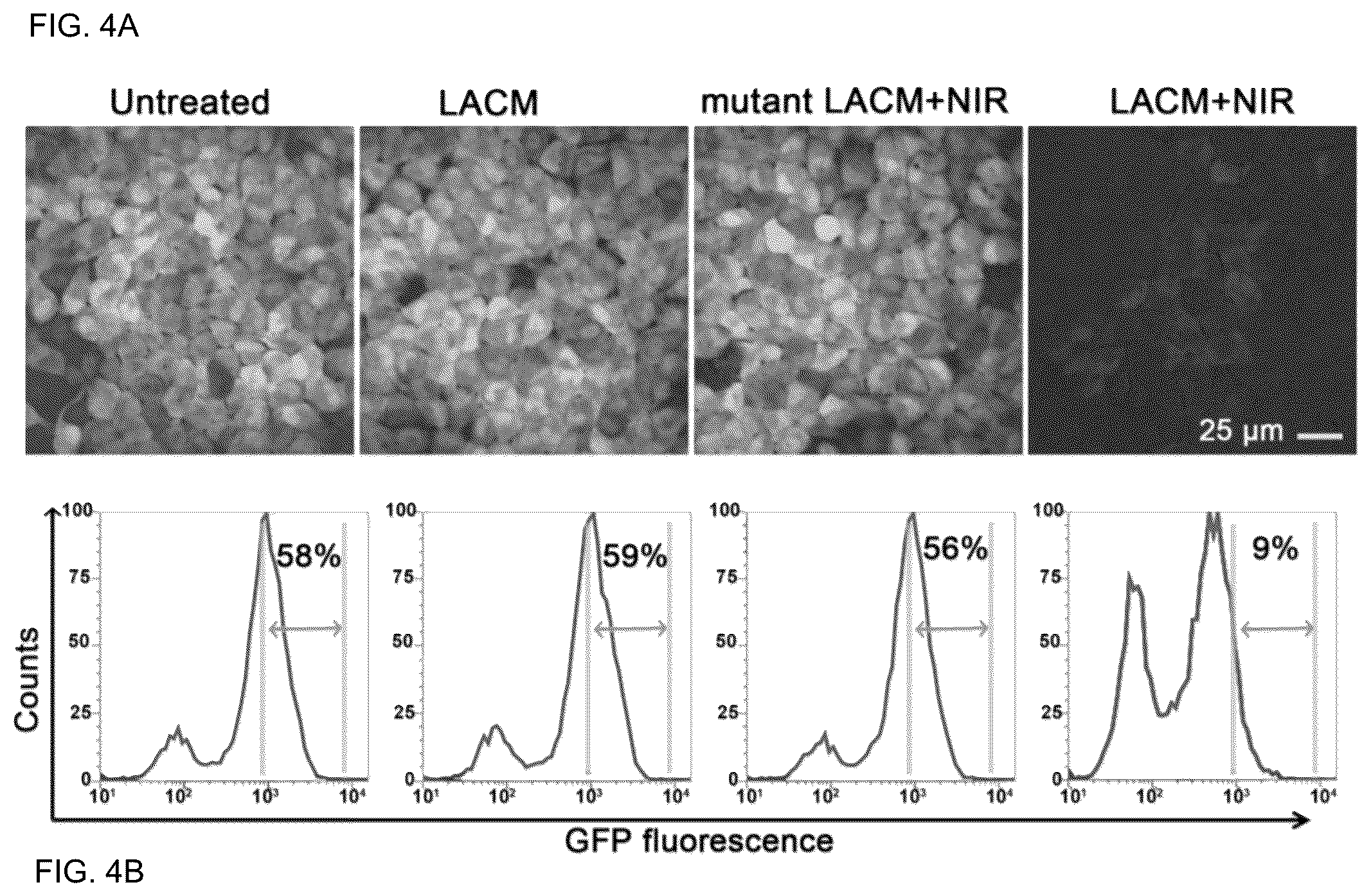 Patent US12104150 Figure 4 – Near-infrared photothermally activated CRISPR/CAS9 genome editing machine