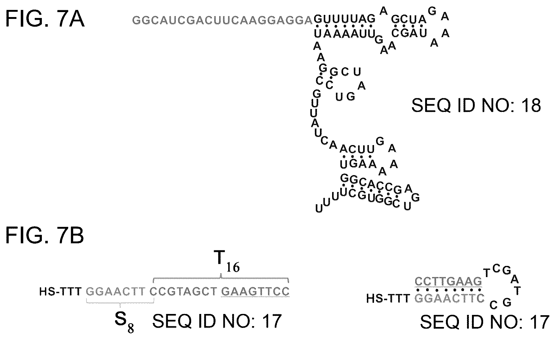 Patent US12104150 Figure 8 – Near-infrared photothermally activated CRISPR/CAS9 genome editing machine