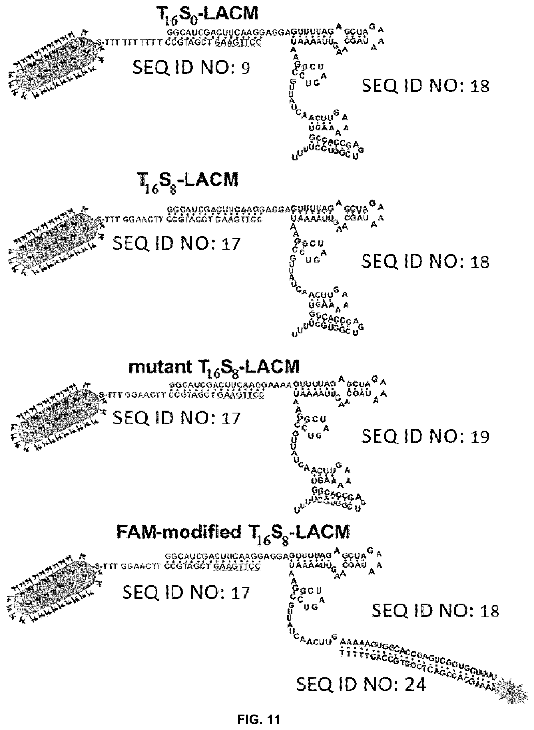 Patent US12104150 Figure 13 – Near-infrared photothermally activated CRISPR/CAS9 genome editing machine