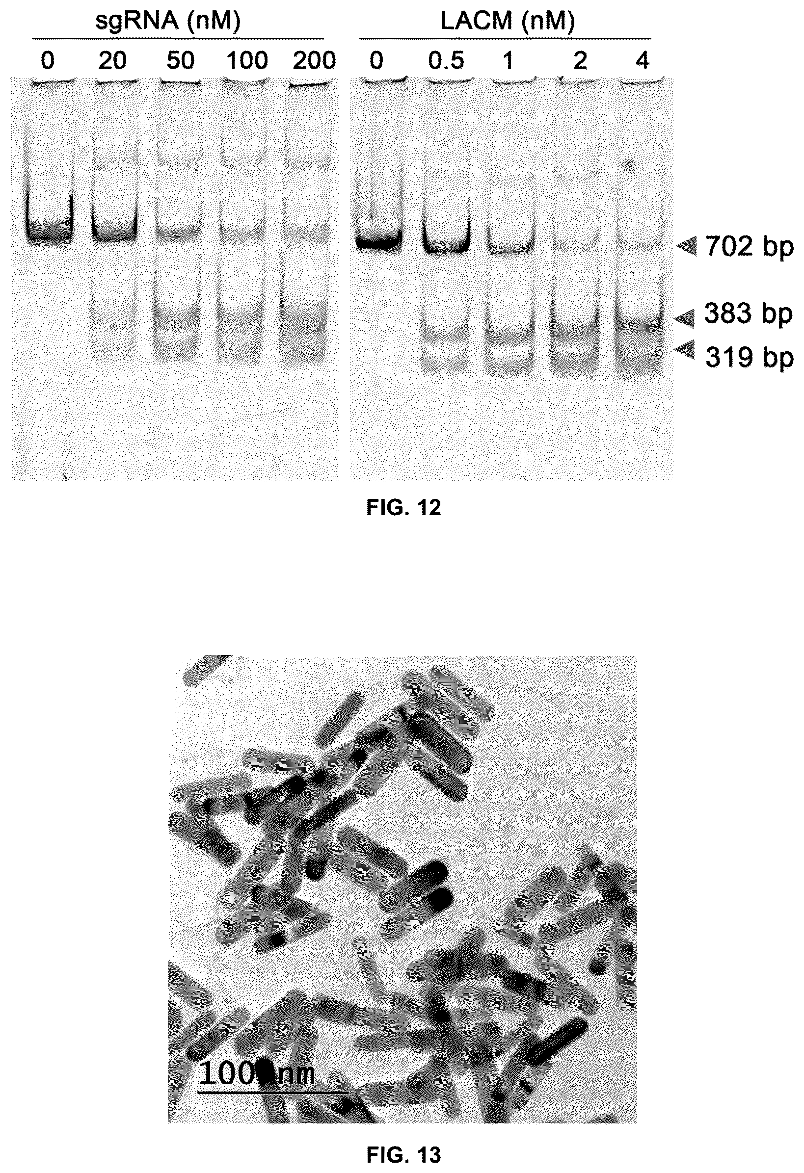 Patent US12104150 Figure 14 – Near-infrared photothermally activated CRISPR/CAS9 genome editing machine