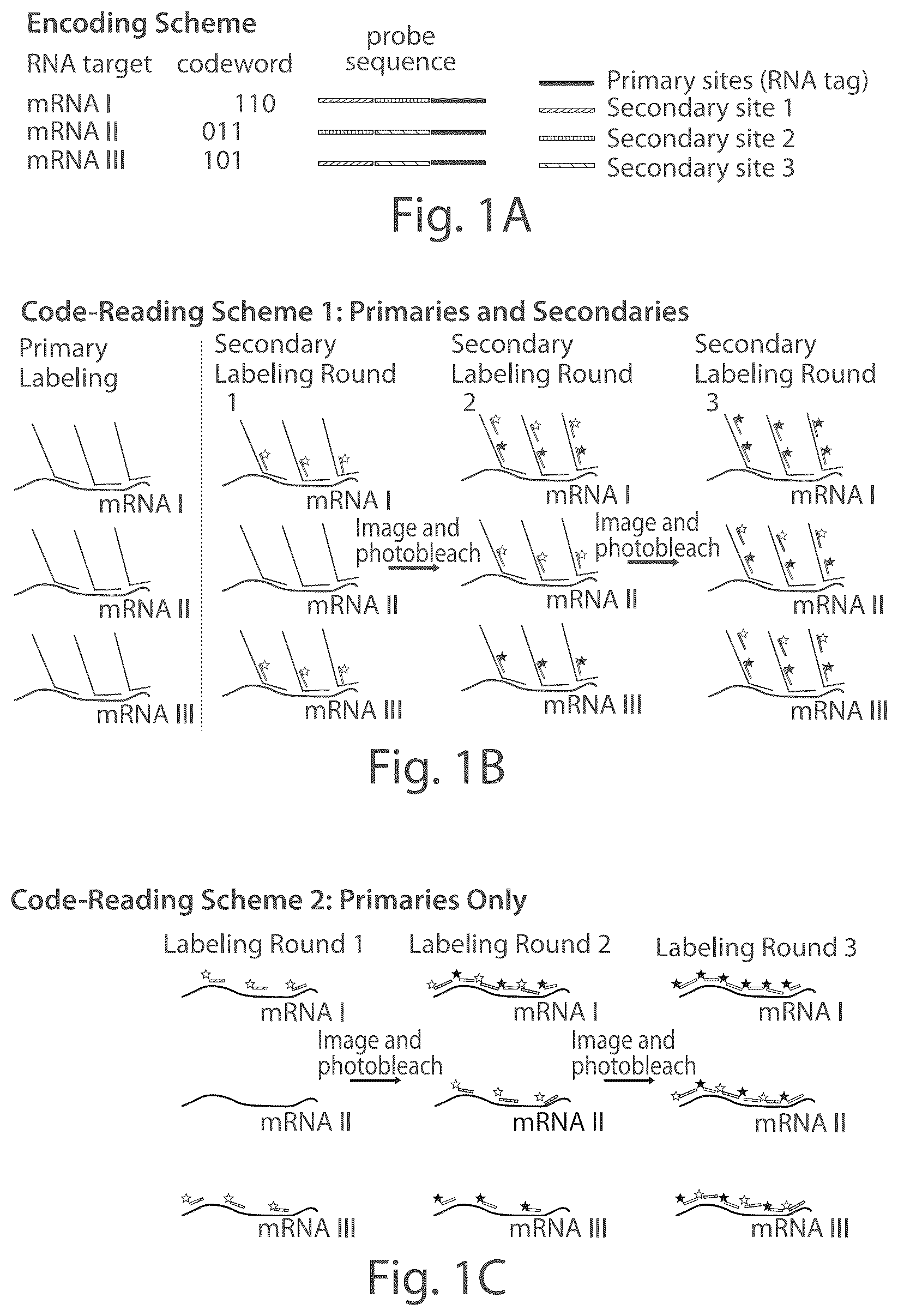Patent US12104151 — Systems and methods for determining nucleic acids — Figure 1