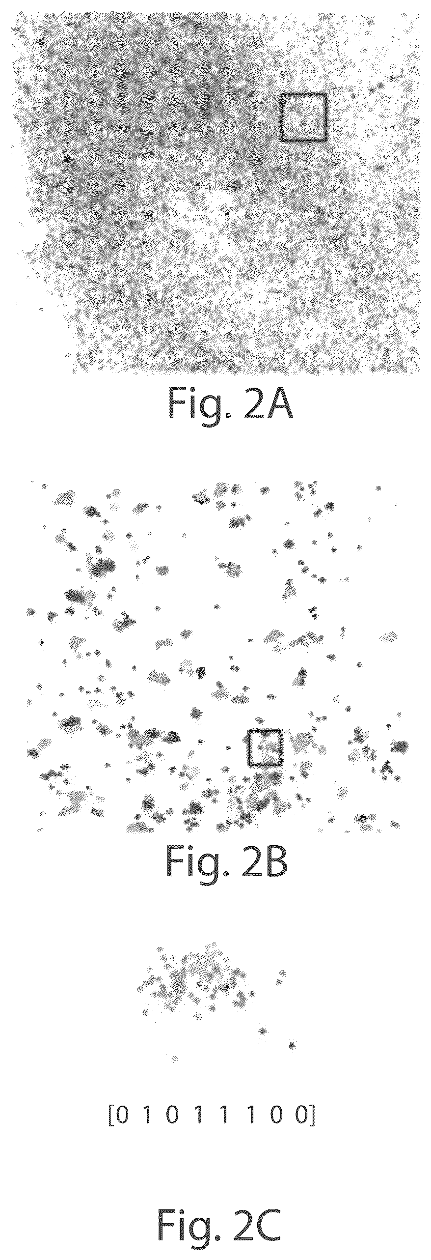Patent US12104151 Figure 2 – Systems and methods for determining nucleic acids