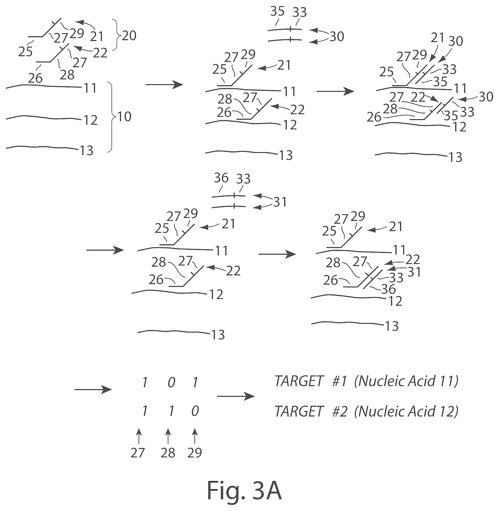 Patent US12104151 Figure 5 – Systems and methods for determining nucleic acids
