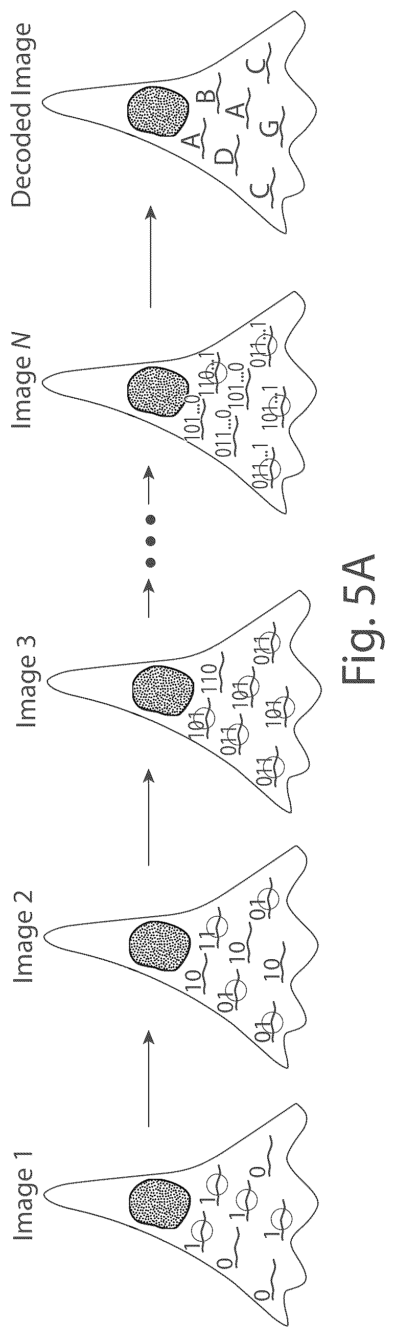 Patent US12104151 Figure 7 – Systems and methods for determining nucleic acids