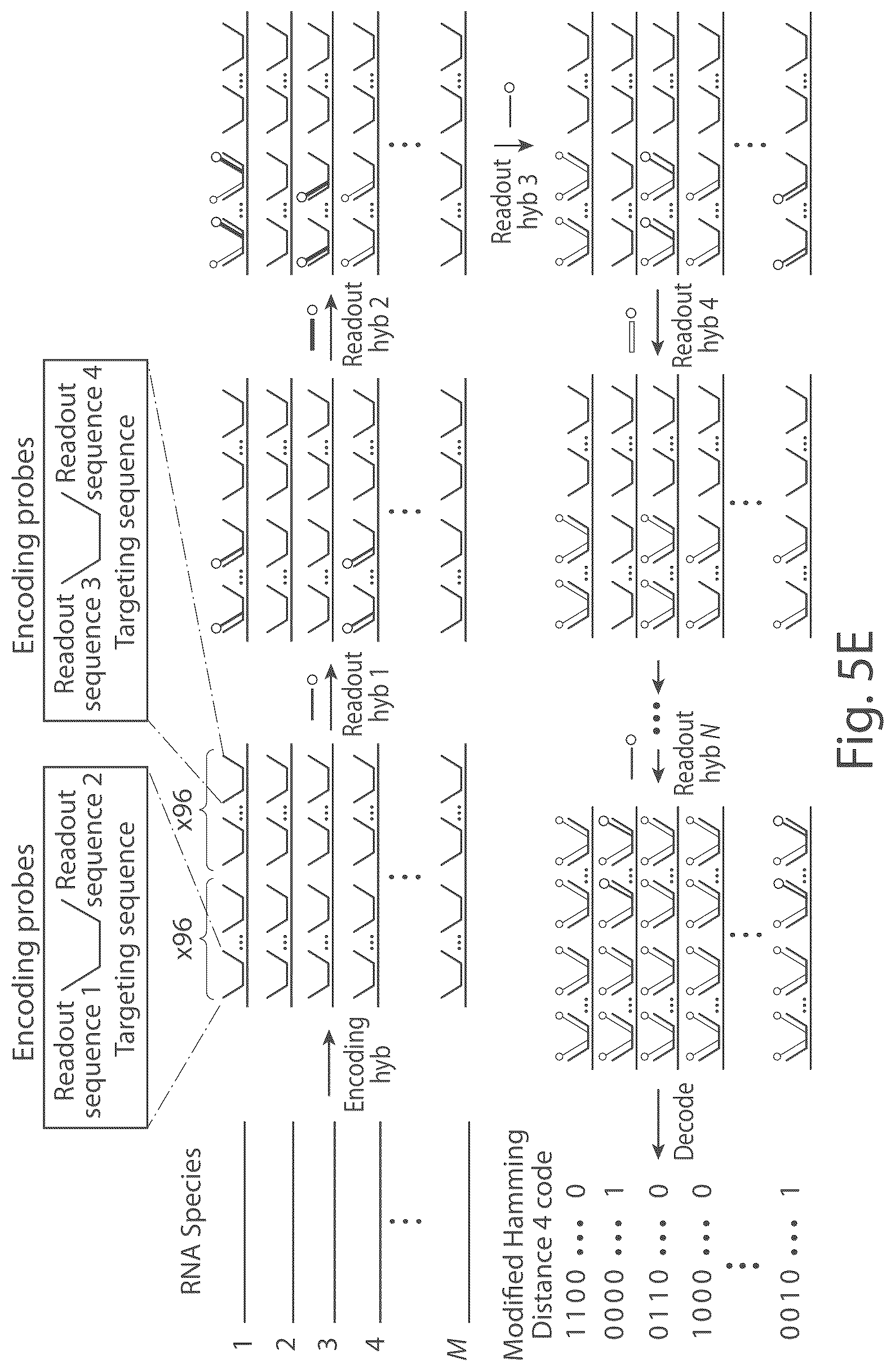 Patent US12104151 Figure 9 – Systems and methods for determining nucleic acids