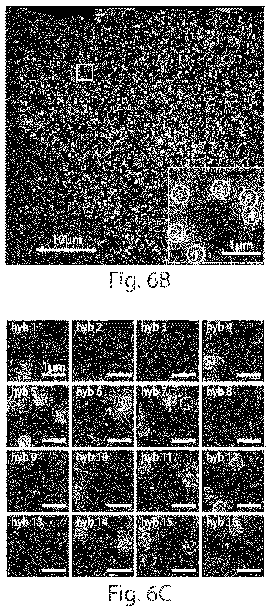 Patent US12104151 Figure 11 – Systems and methods for determining nucleic acids