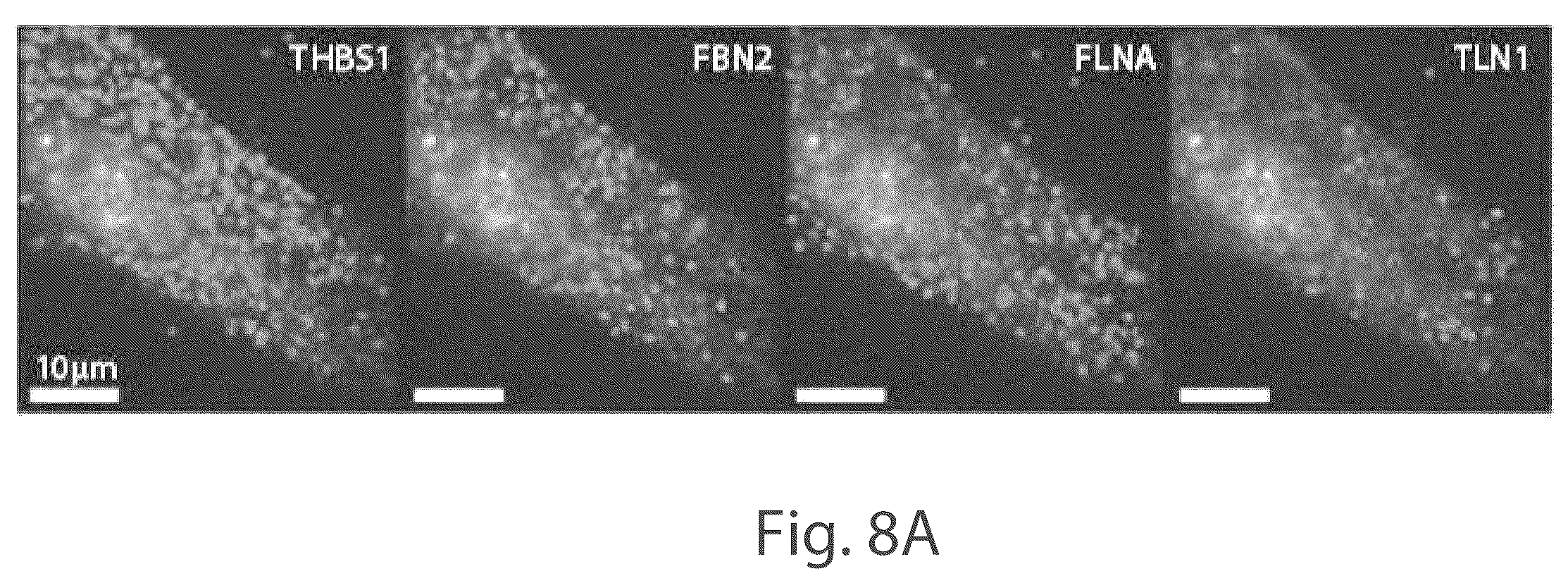 Patent US12104151 Figure 19 – Systems and methods for determining nucleic acids