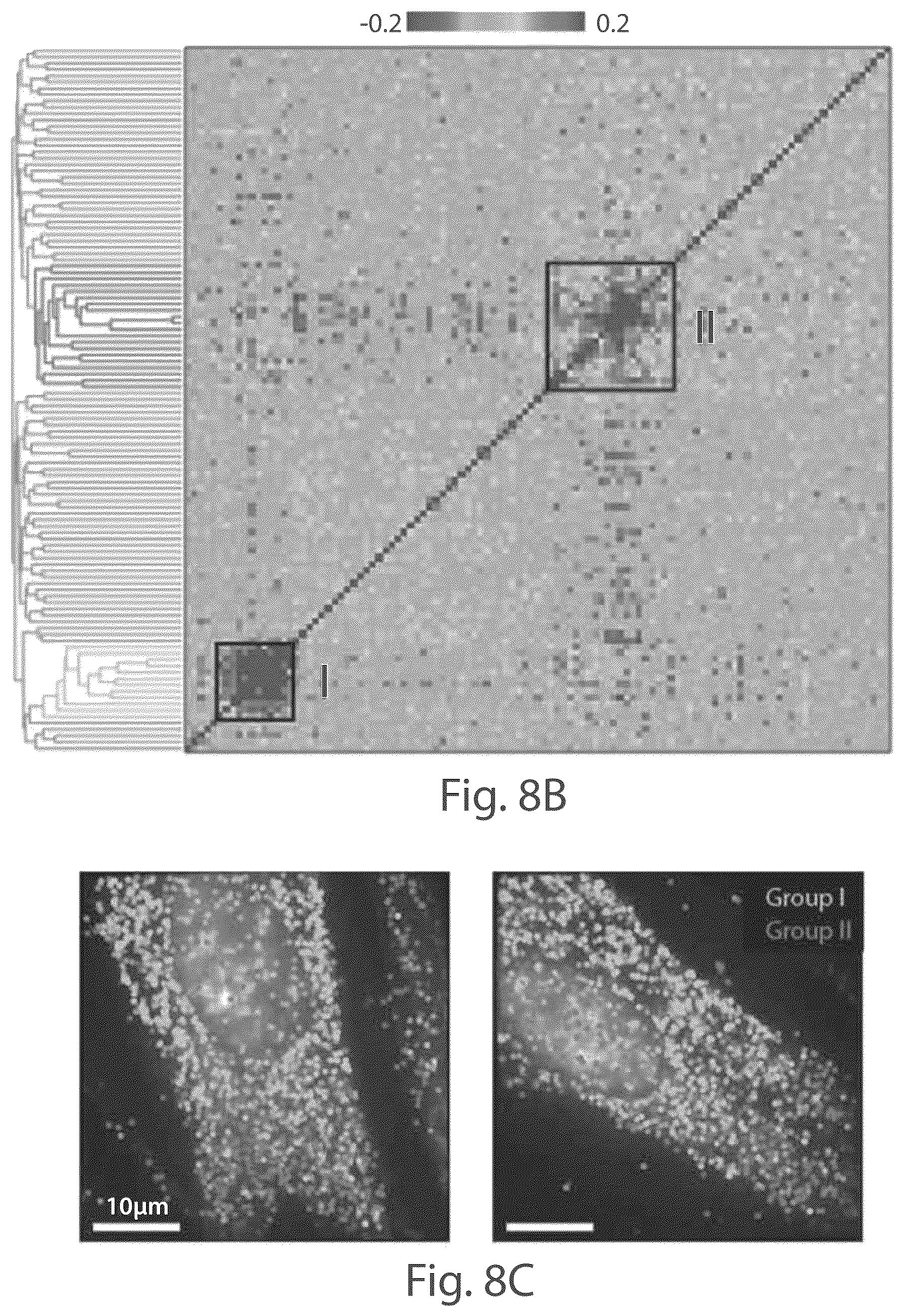 Patent US12104151 Figure 20 – Systems and methods for determining nucleic acids