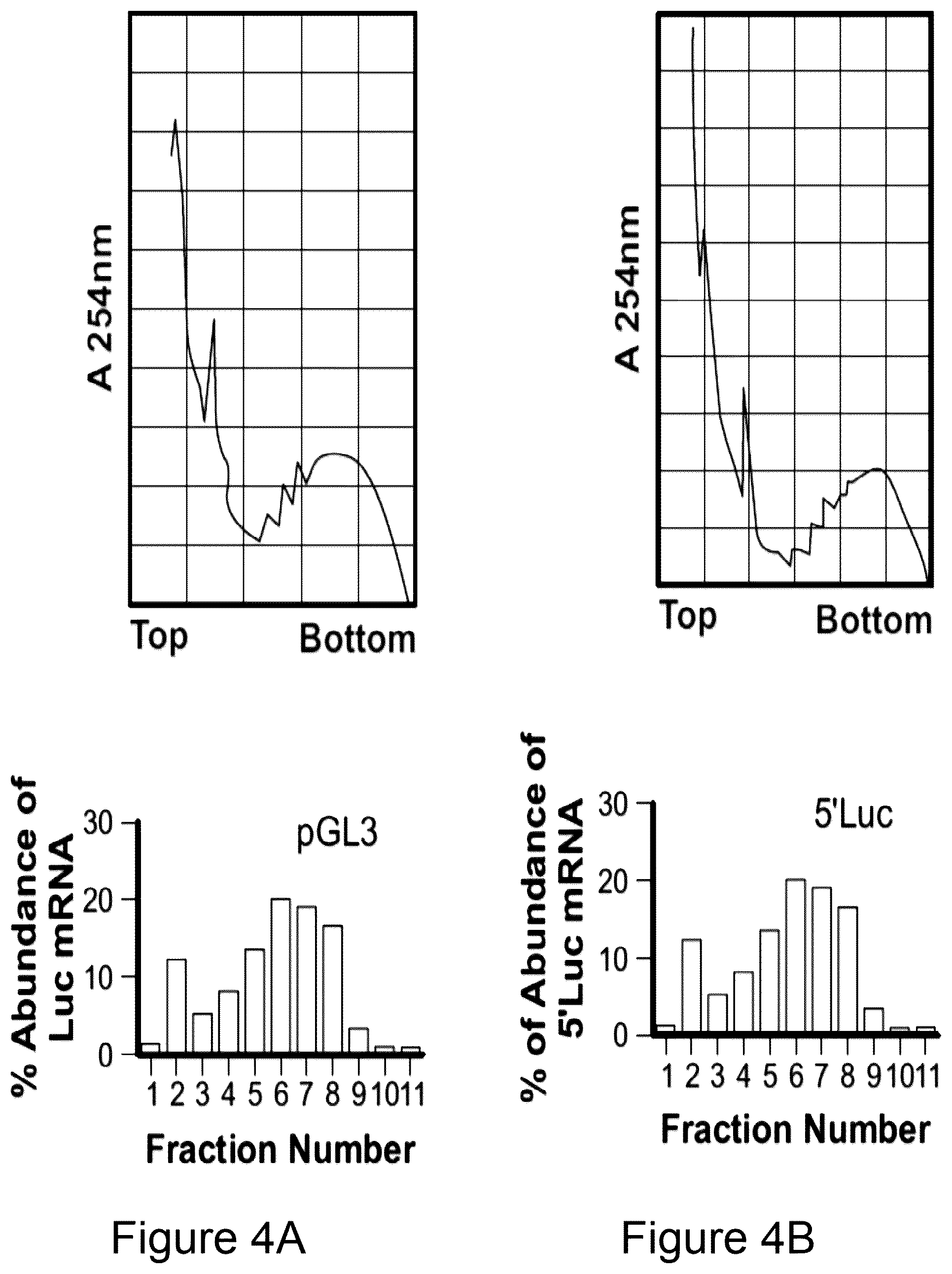 Patent US12104152 Figure 5 – 2′F-ANA-LET7 mediated utrophin upregulation for DMD therapy