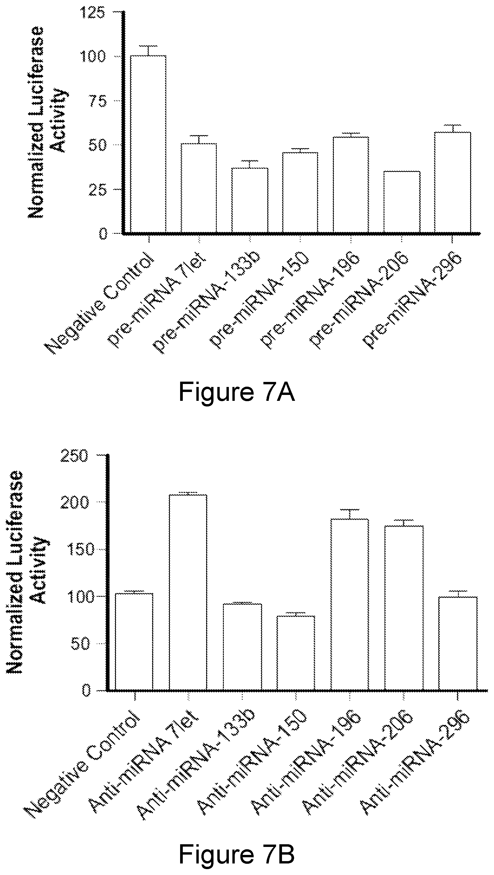 Patent US12104152 Figure 7 – 2′F-ANA-LET7 mediated utrophin upregulation for DMD therapy