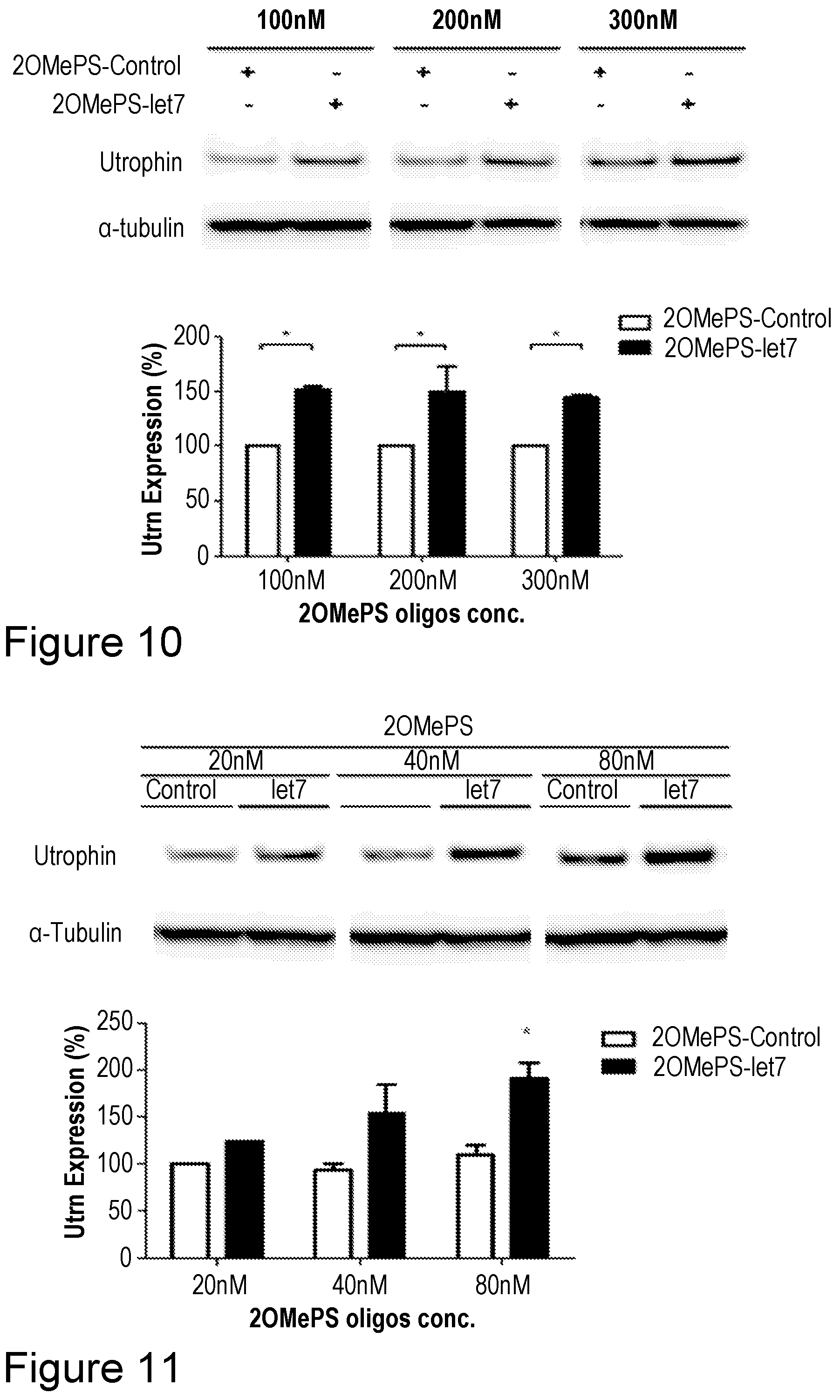 Patent US12104152 Figure 9 – 2′F-ANA-LET7 mediated utrophin upregulation for DMD therapy