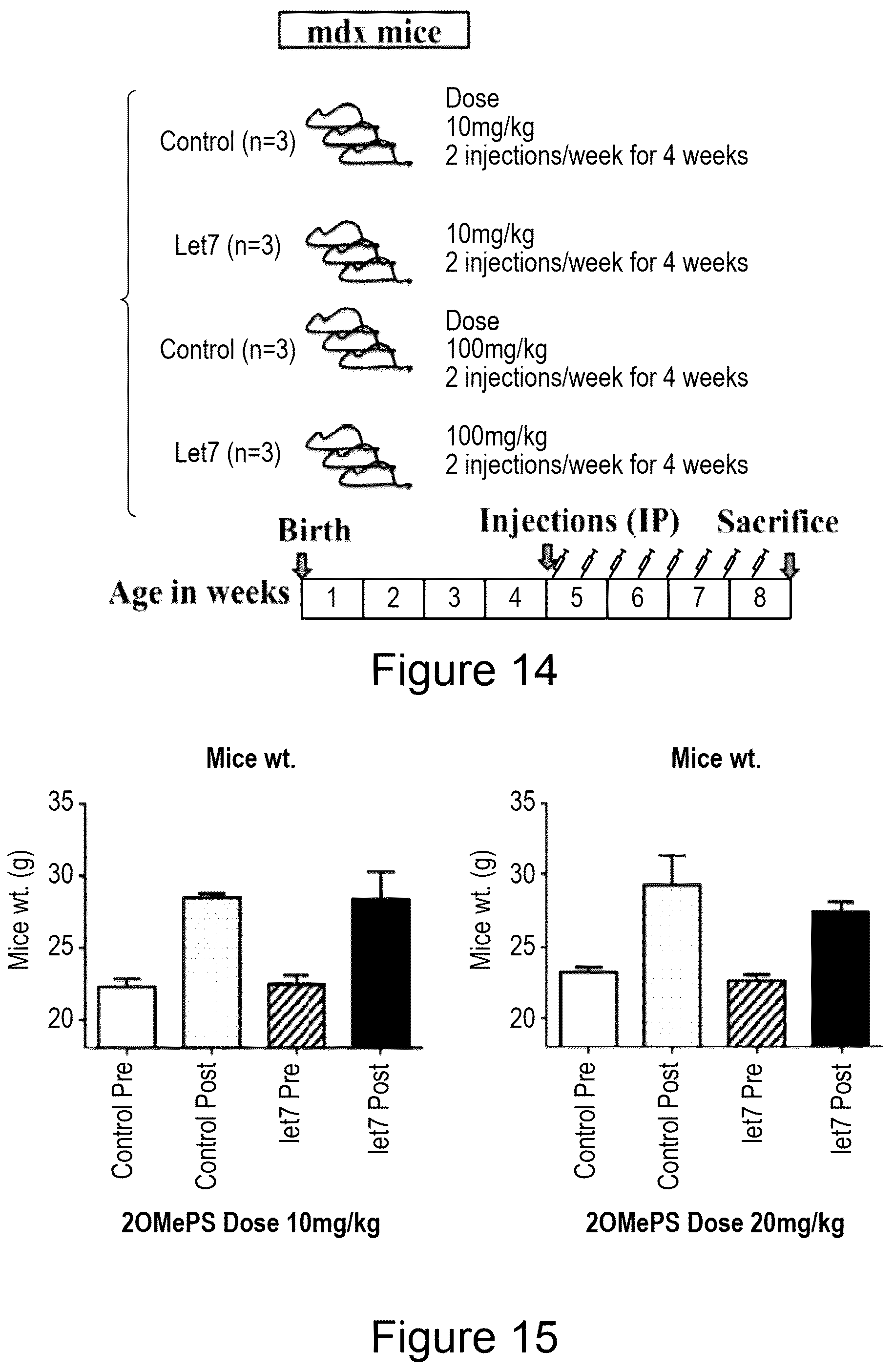 Patent US12104152 Figure 11 – 2′F-ANA-LET7 mediated utrophin upregulation for DMD therapy