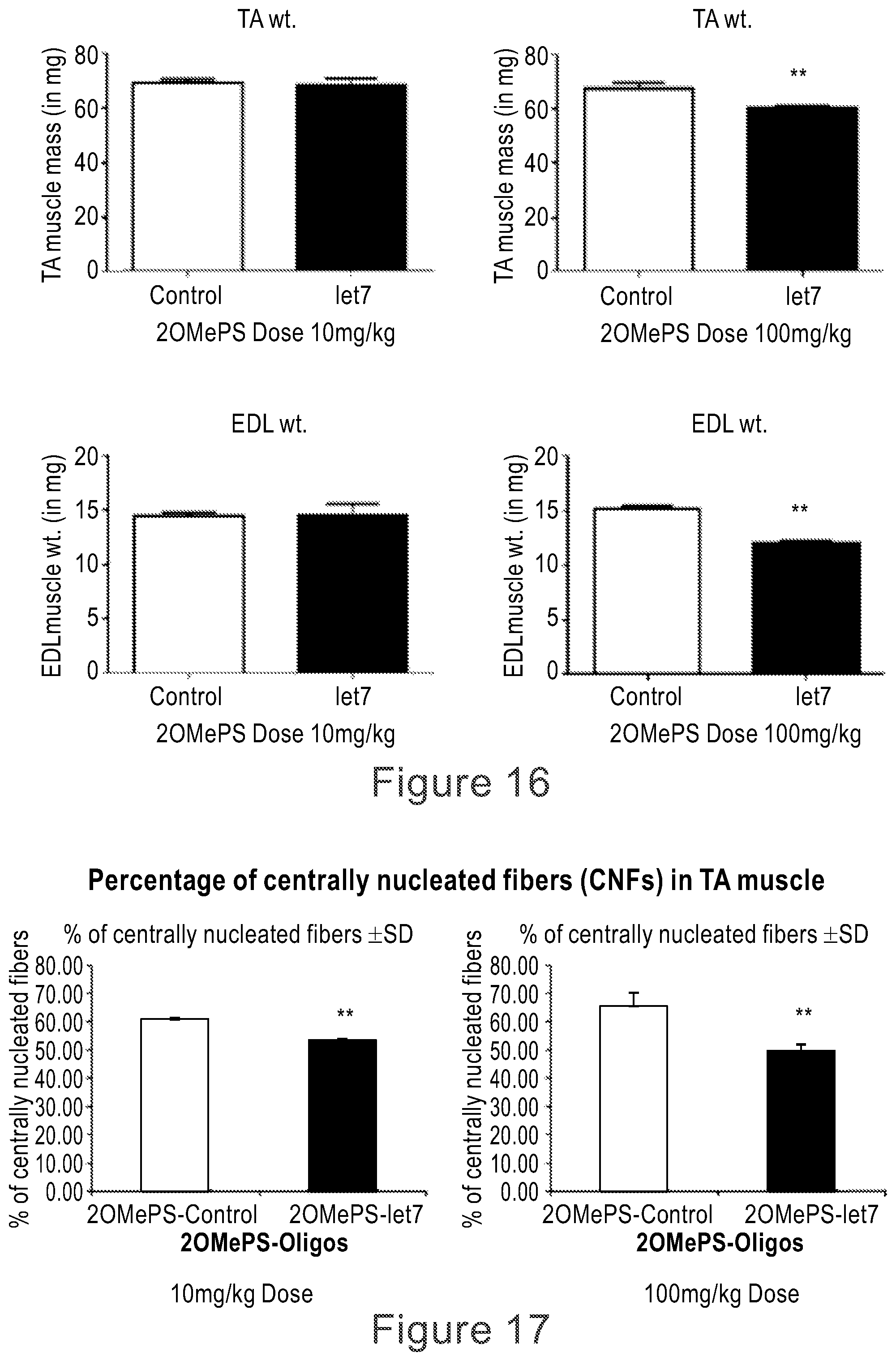 Patent US12104152 Figure 12 – 2′F-ANA-LET7 mediated utrophin upregulation for DMD therapy