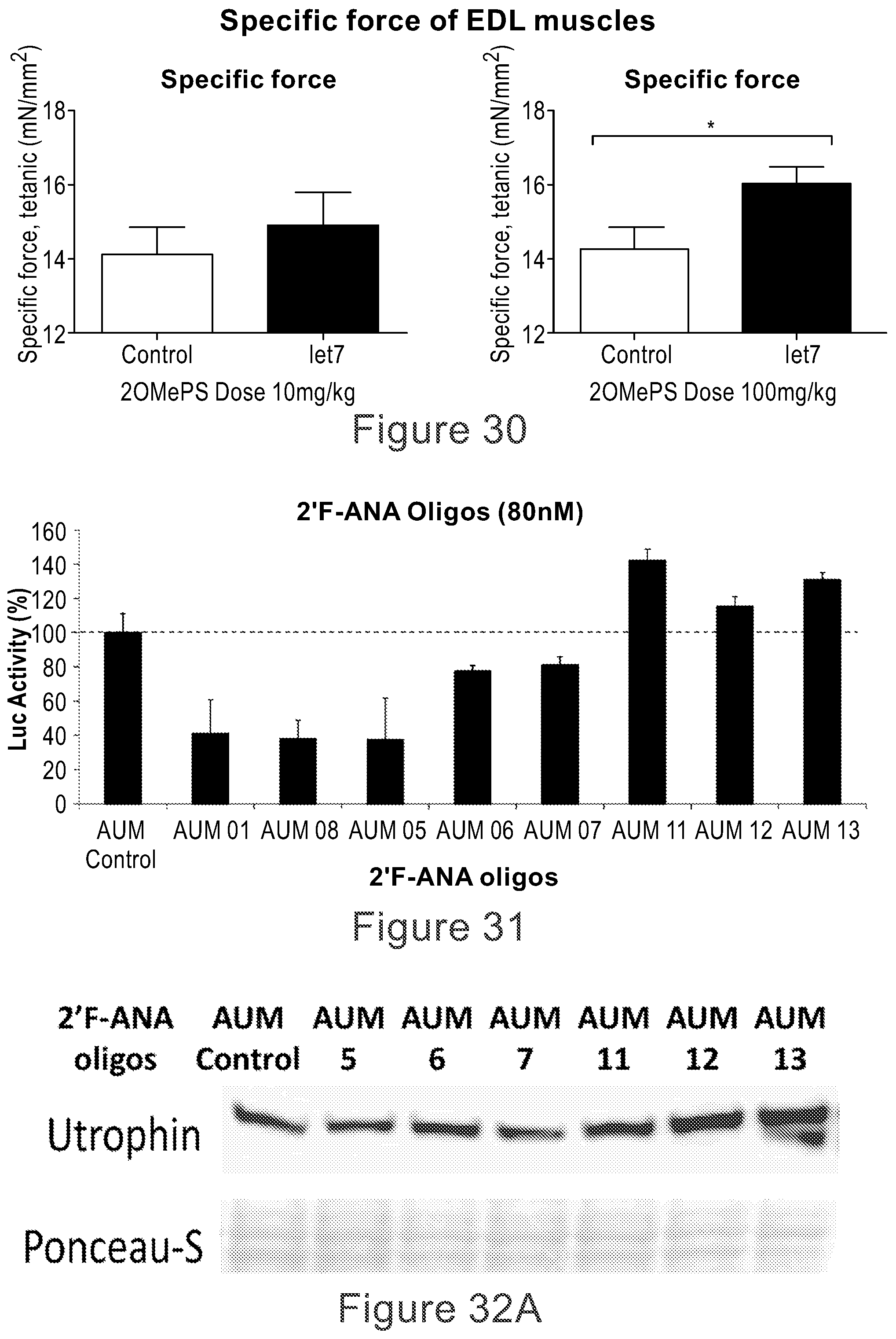 Patent US12104152 Figure 20 – 2′F-ANA-LET7 mediated utrophin upregulation for DMD therapy