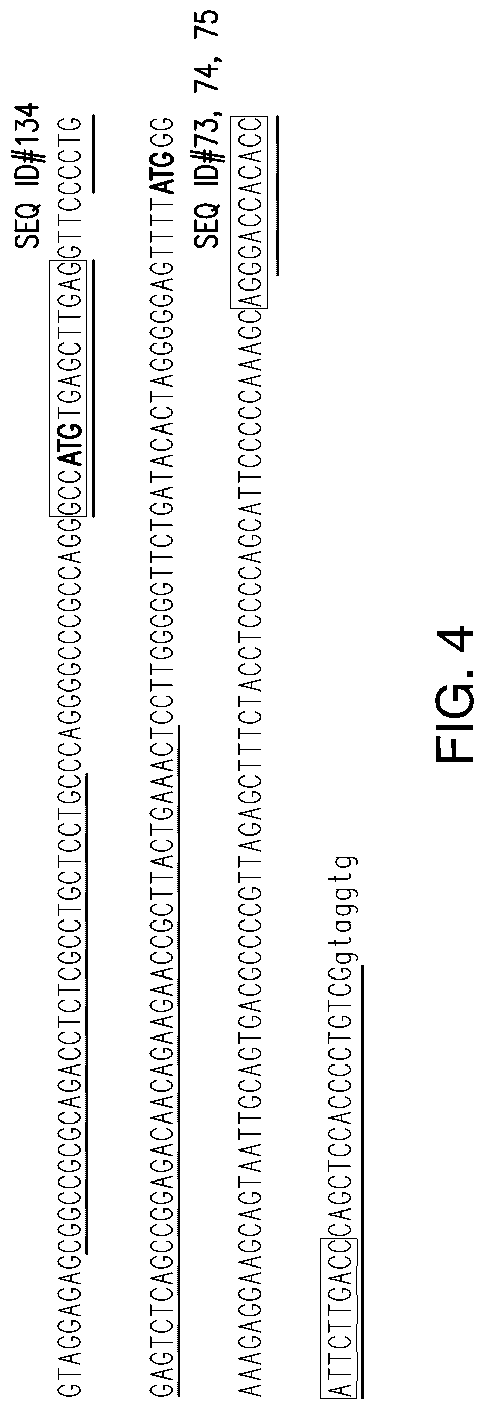 Patent US12104153 Figure 8 – Antisense oligonucleotide for targeting progranulin