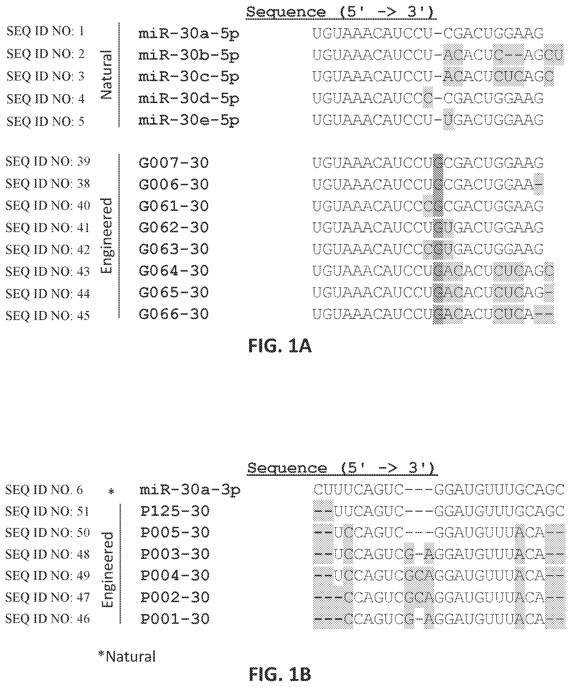 Patent US12104157 Figure 1 – Targeted inhibition using engineered oligonucleotides