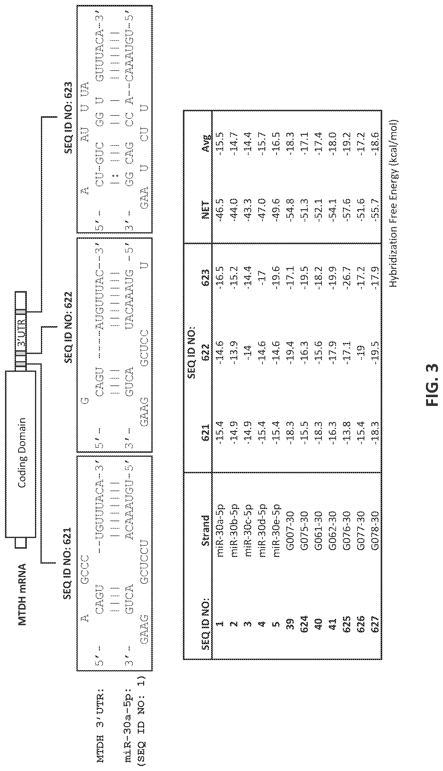 Patent US12104157 Figure 4 – Targeted inhibition using engineered oligonucleotides