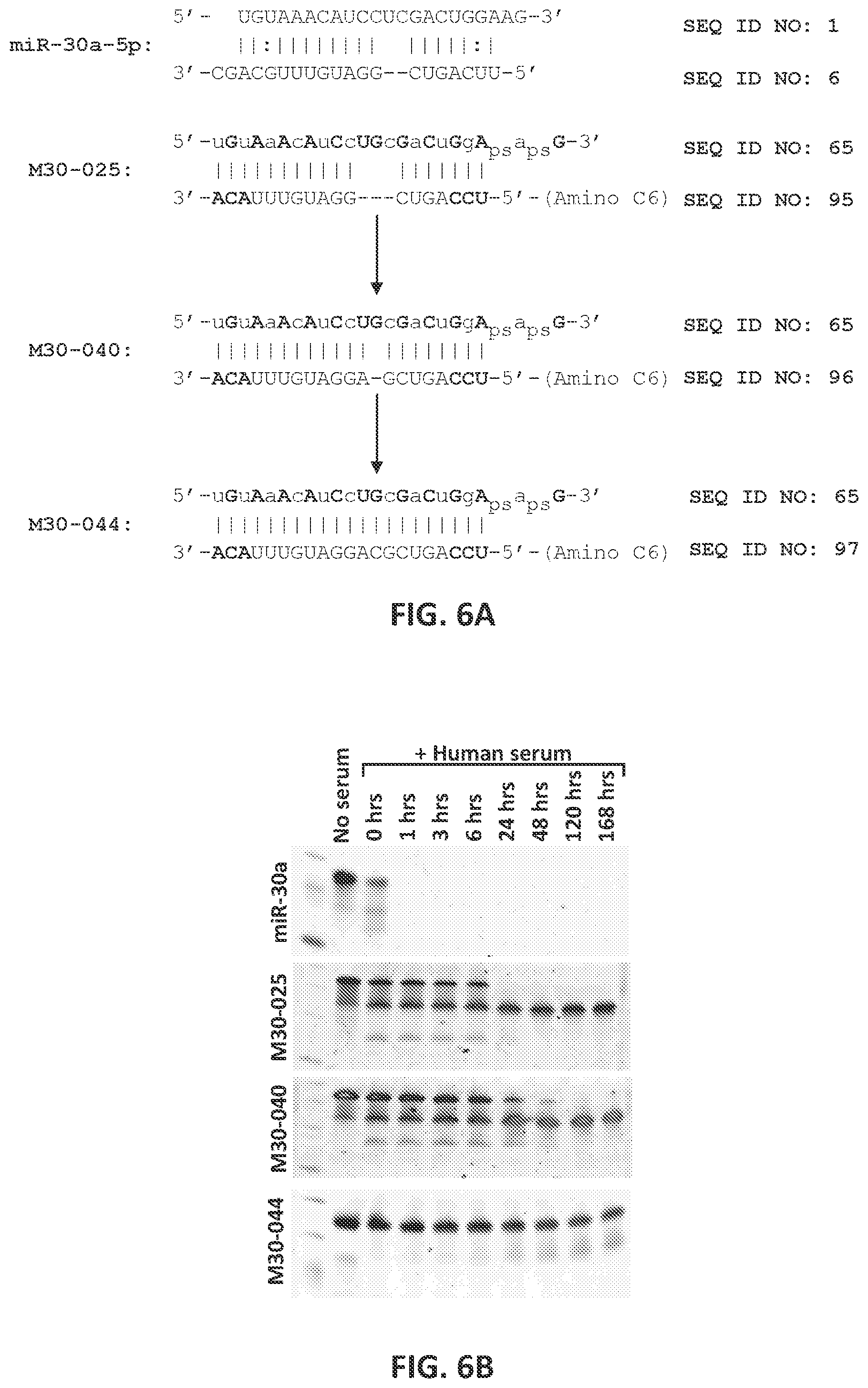 Patent US12104157 Figure 8 – Targeted inhibition using engineered oligonucleotides
