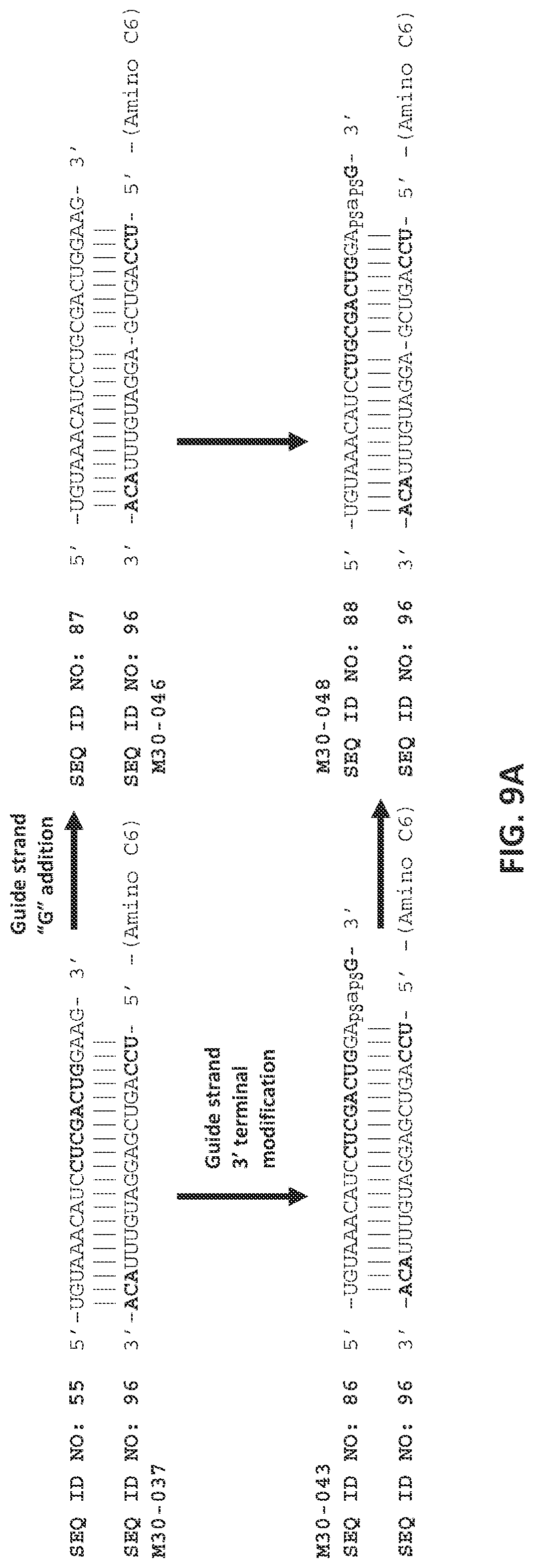 Patent US12104157 Figure 11 – Targeted inhibition using engineered oligonucleotides