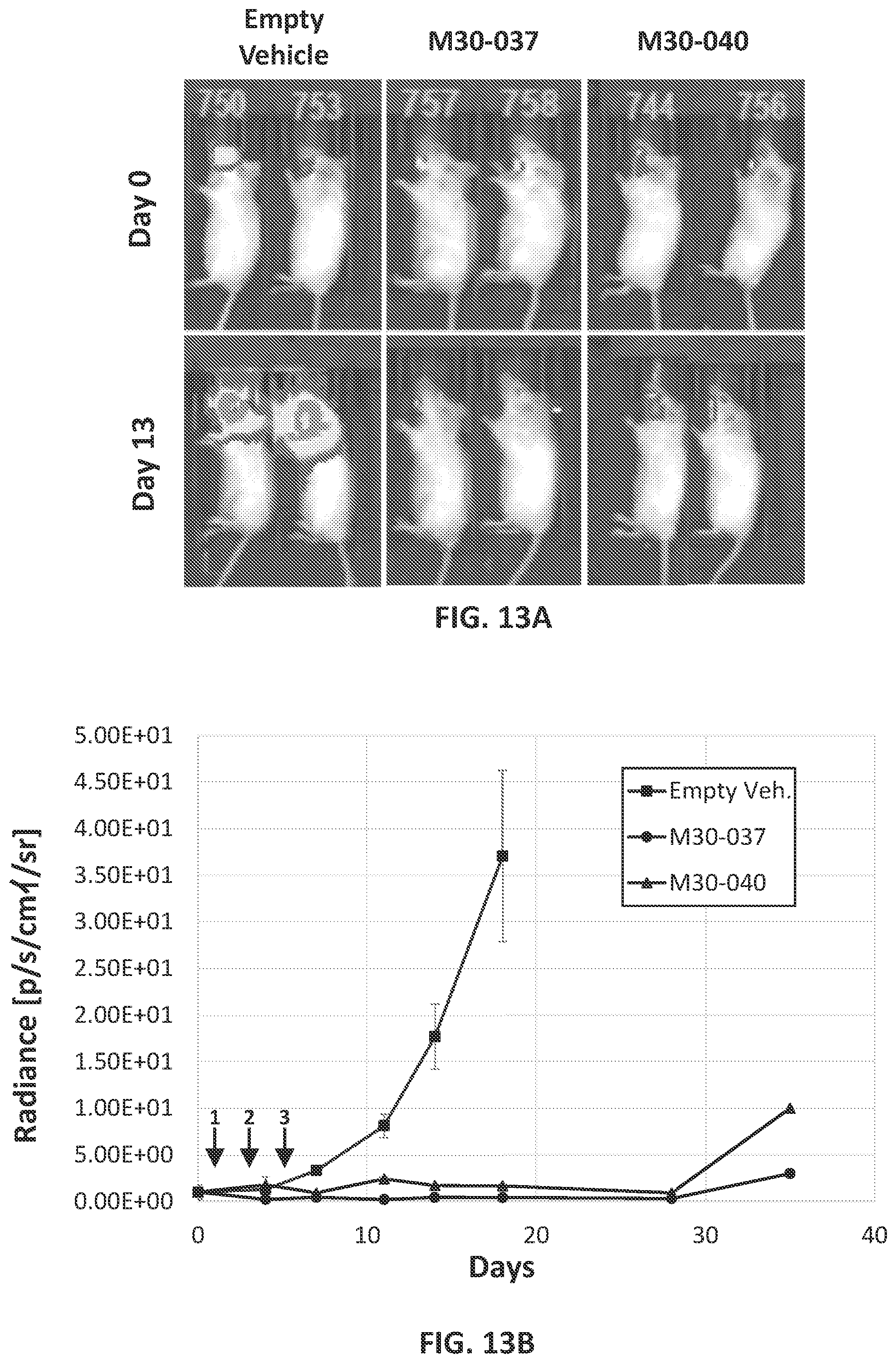 Patent US12104157 Figure 16 – Targeted inhibition using engineered oligonucleotides