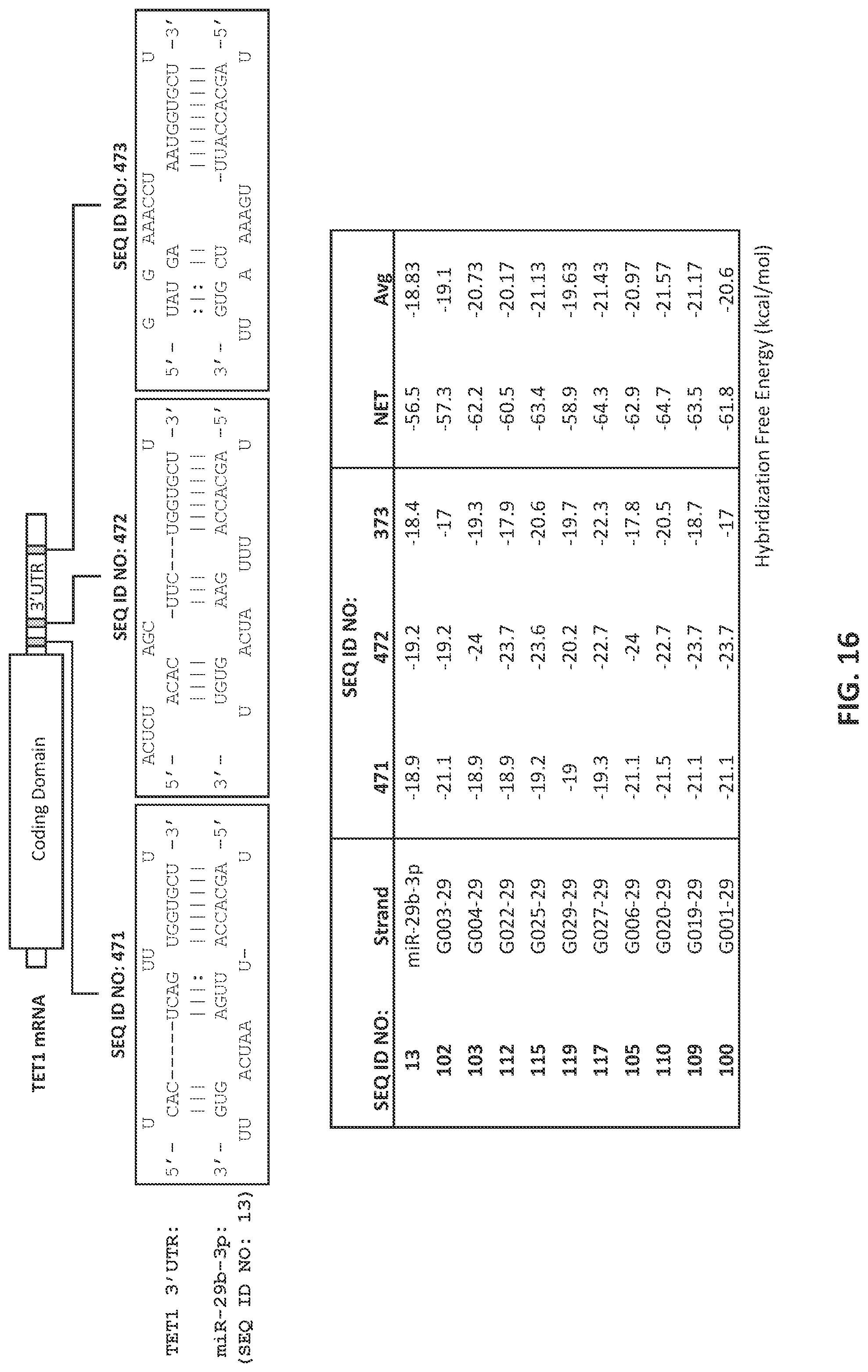 Patent US12104157 Figure 20 – Targeted inhibition using engineered oligonucleotides