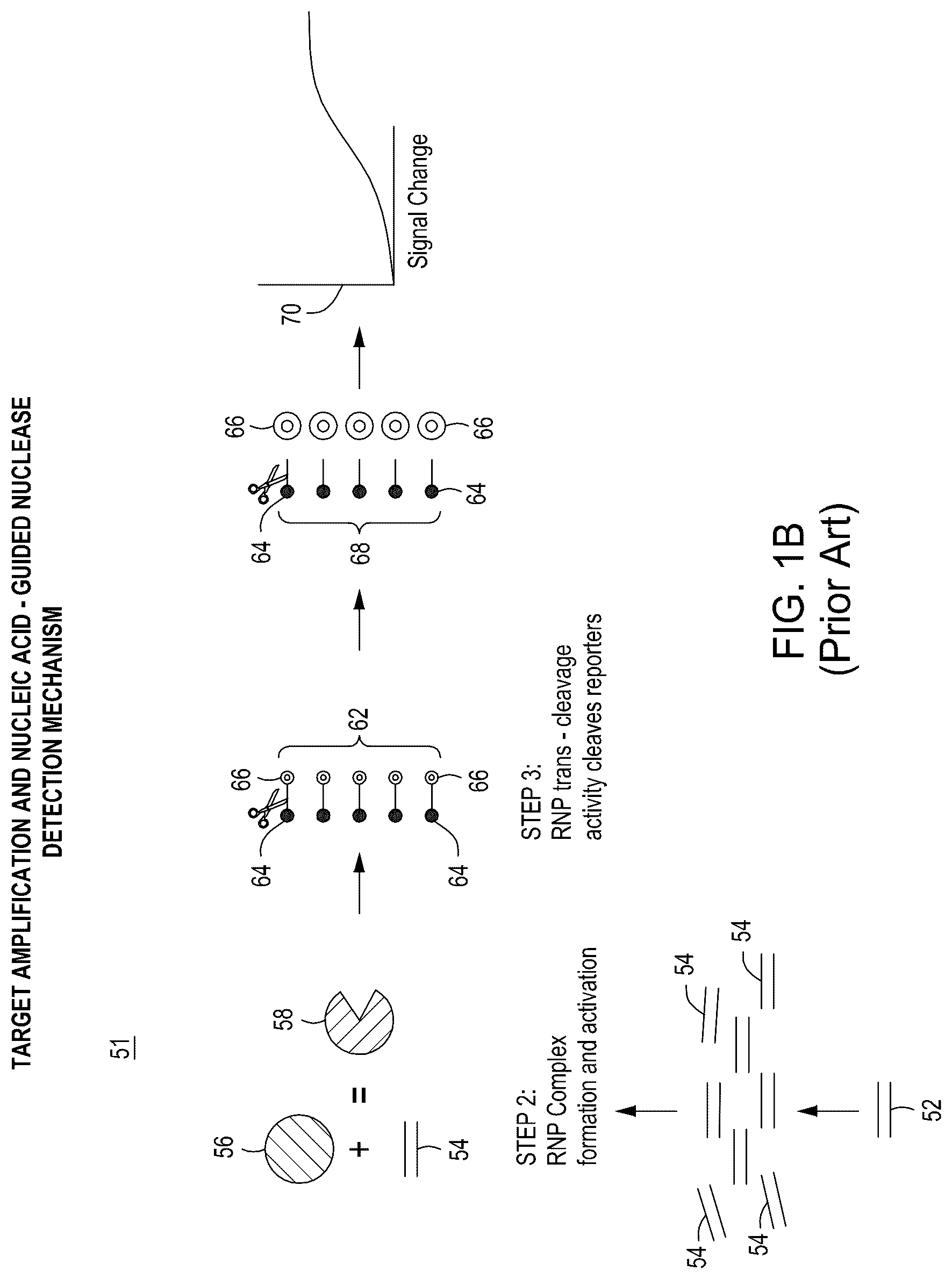 Patent US12104158 Figure 2 – Tuning cascade assay kinetics via molecular design