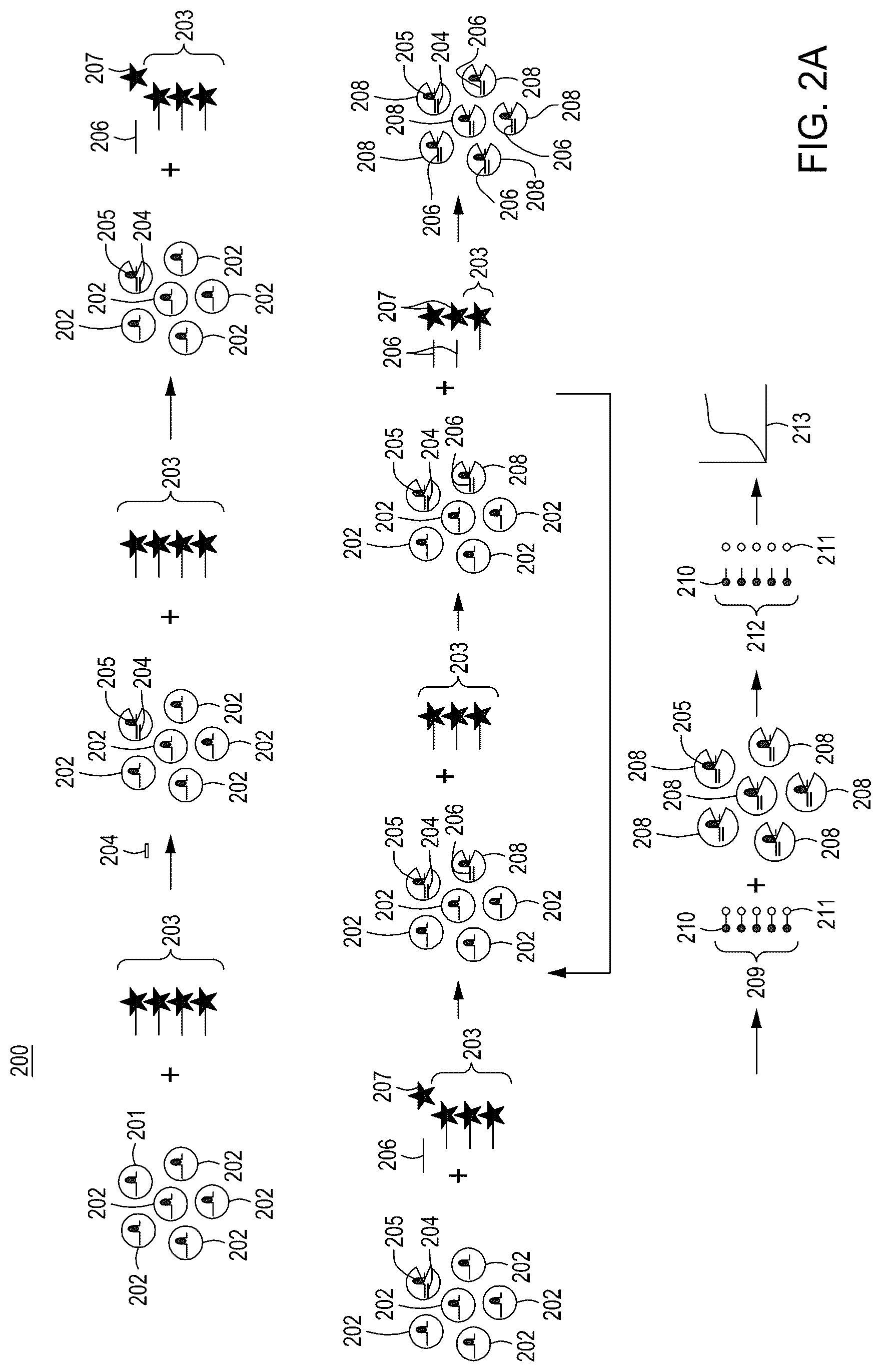 Patent US12104158 Figure 4 – Tuning cascade assay kinetics via molecular design