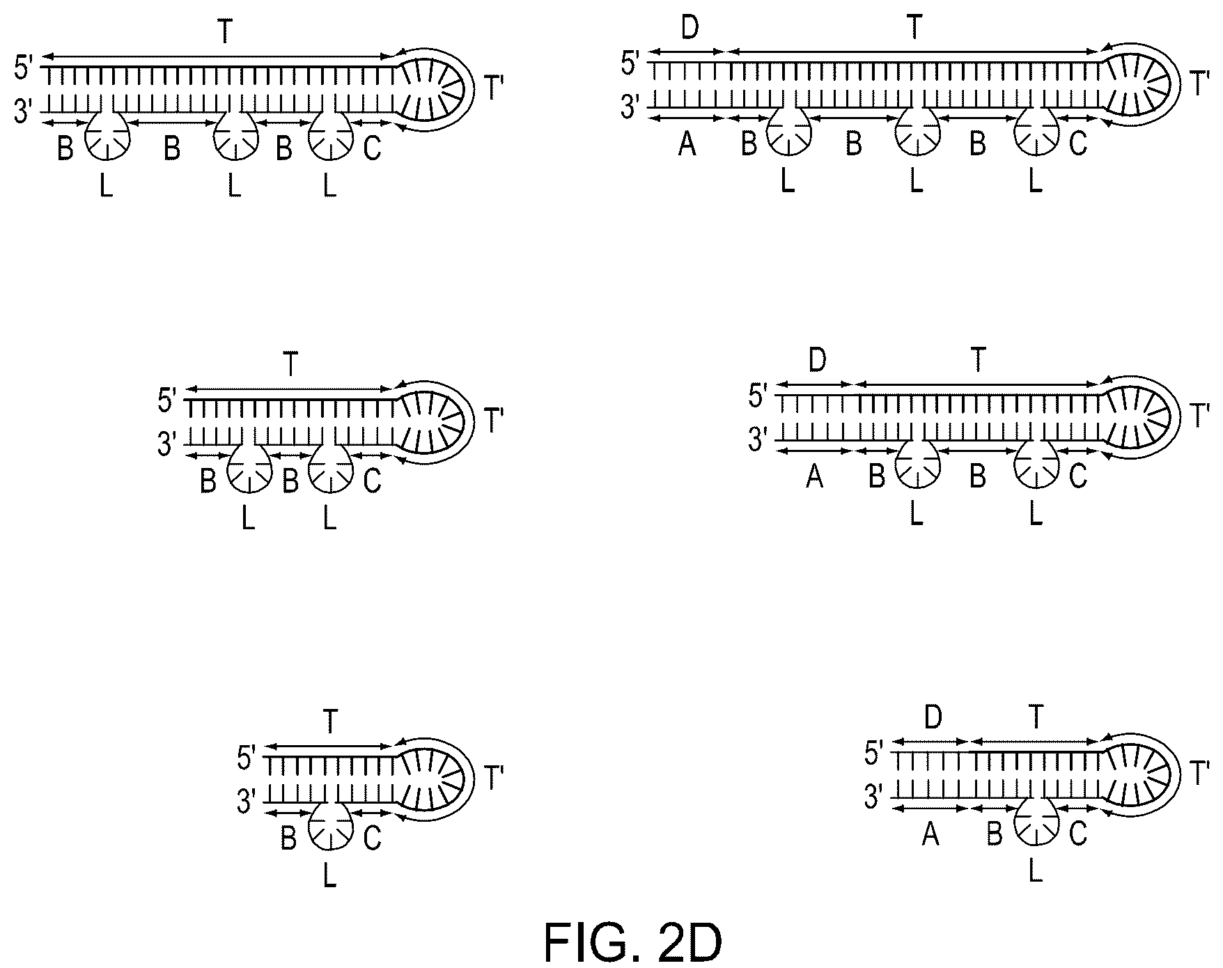Patent US12104158 Figure 7 – Tuning cascade assay kinetics via molecular design