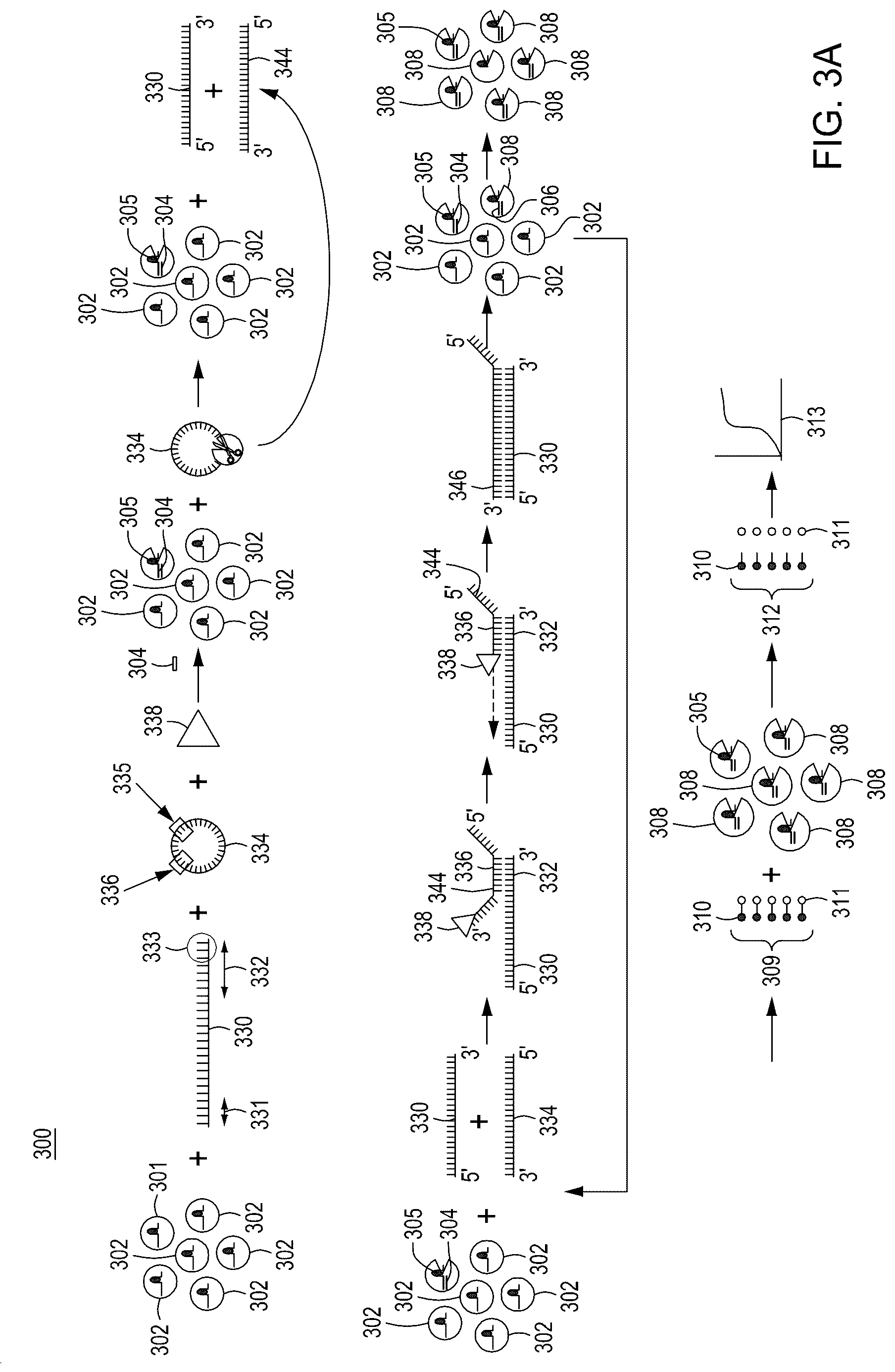 Patent US12104158 Figure 10 – Tuning cascade assay kinetics via molecular design