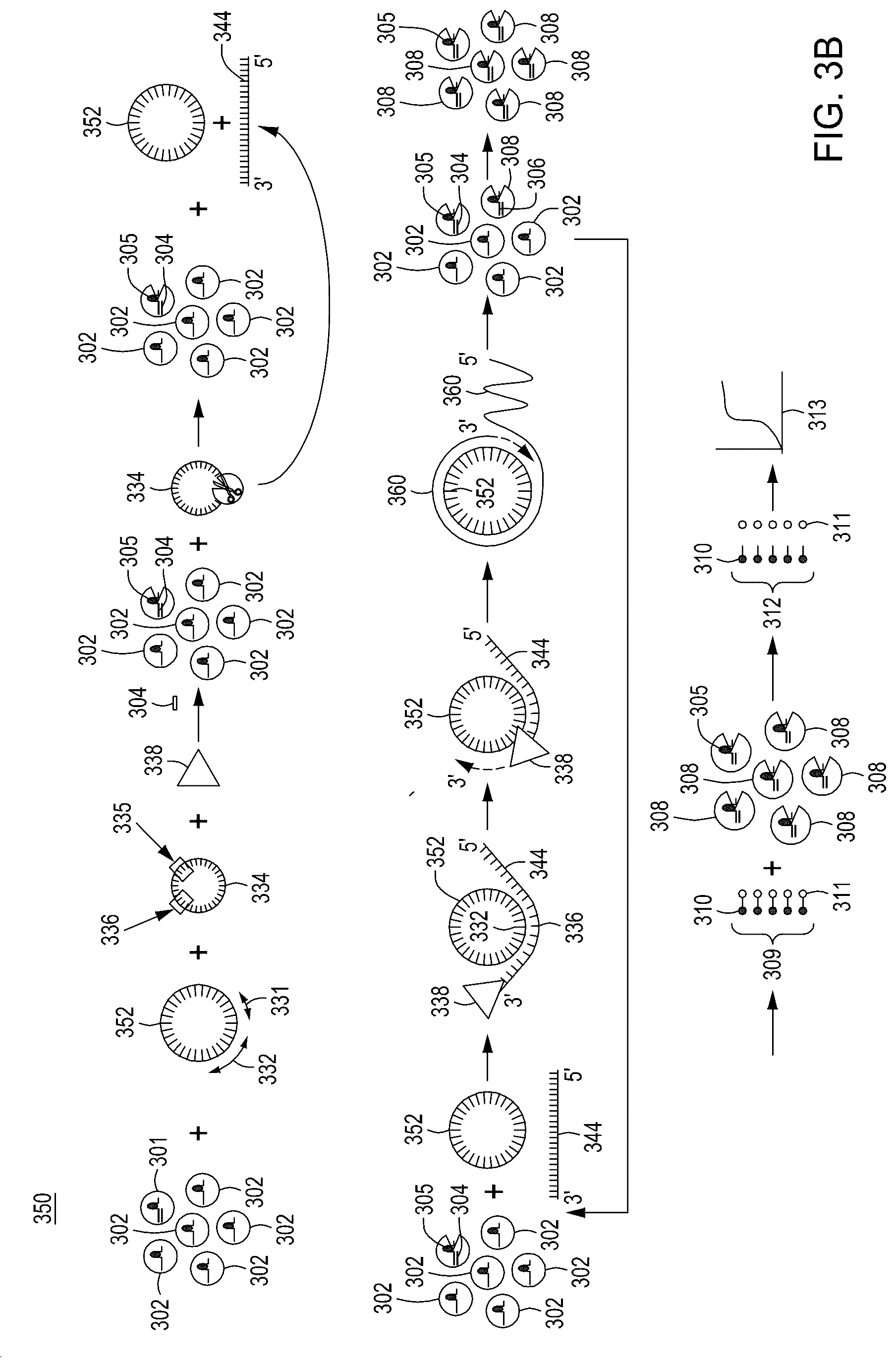 Patent US12104158 Figure 11 – Tuning cascade assay kinetics via molecular design