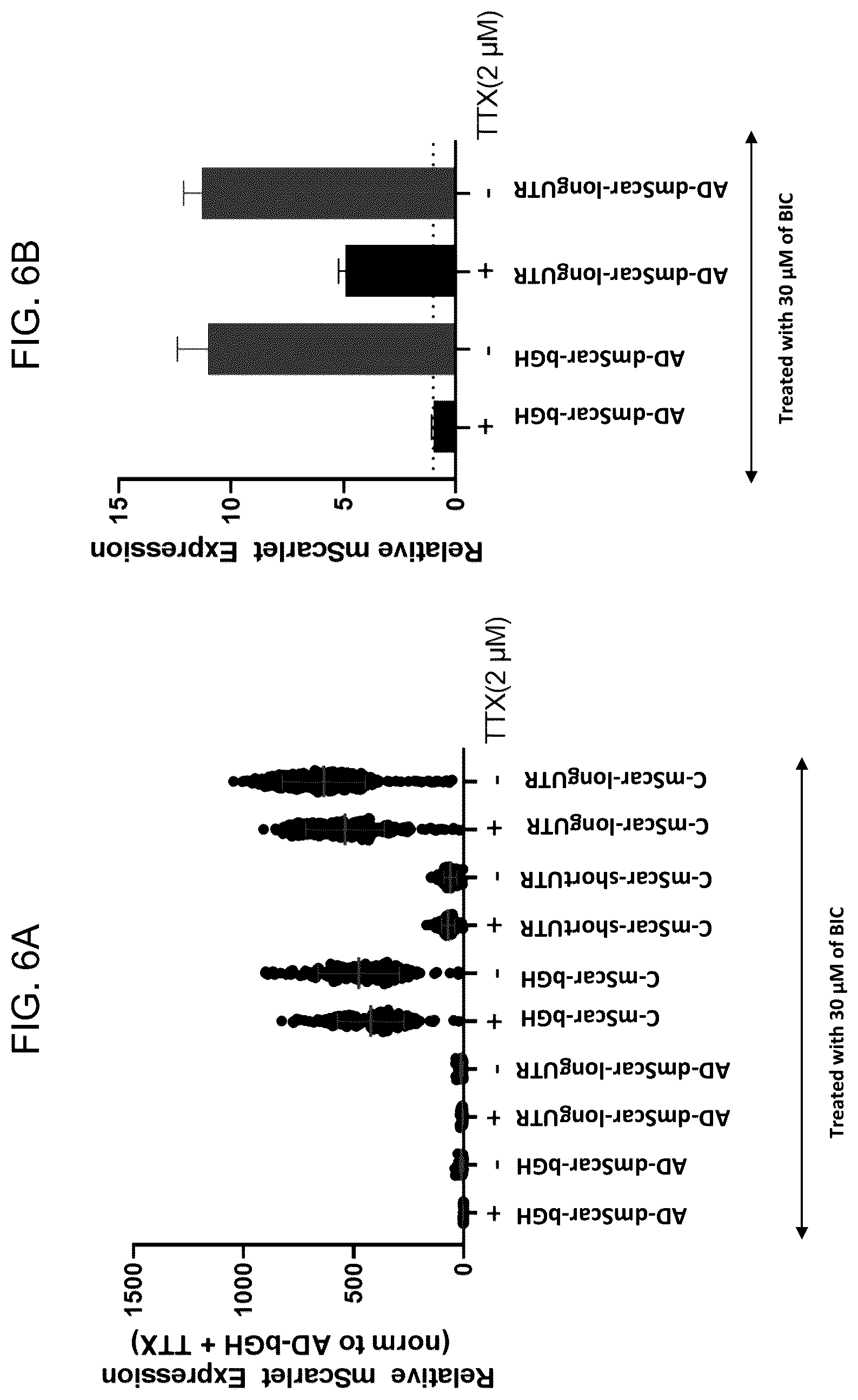Patent US12104163 Figure 6 – Adeno-associated virus vectors for treatment of Rett syndrome