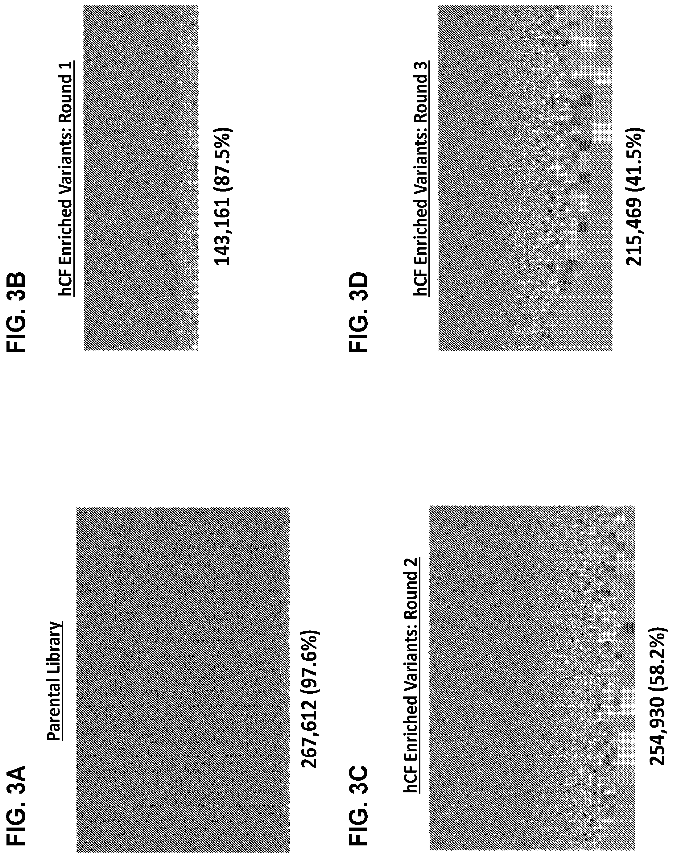 Patent US12104165 Figure 3 – Adeno-associated virus with engineered capsid