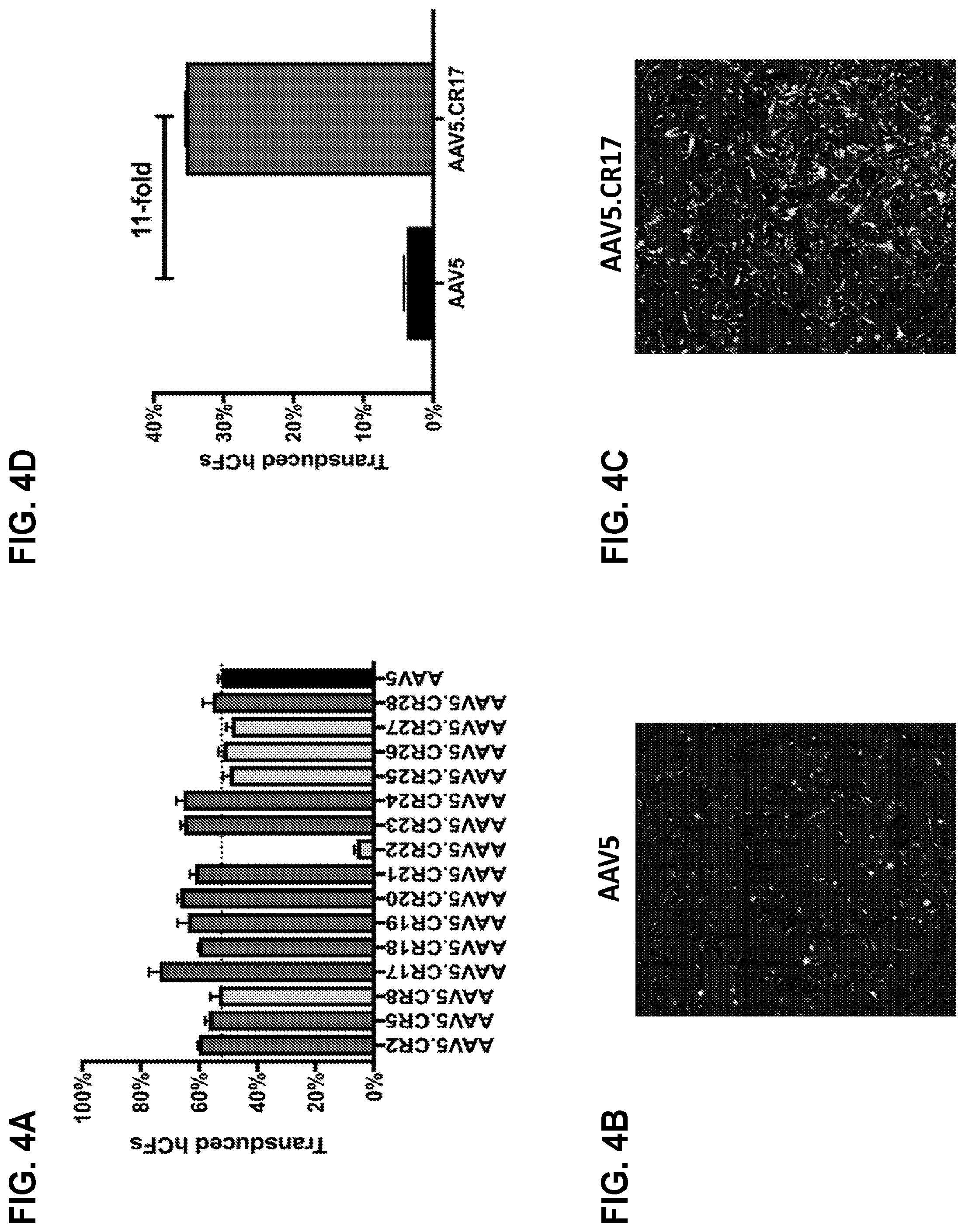 Patent US12104165 Figure 4 – Adeno-associated virus with engineered capsid