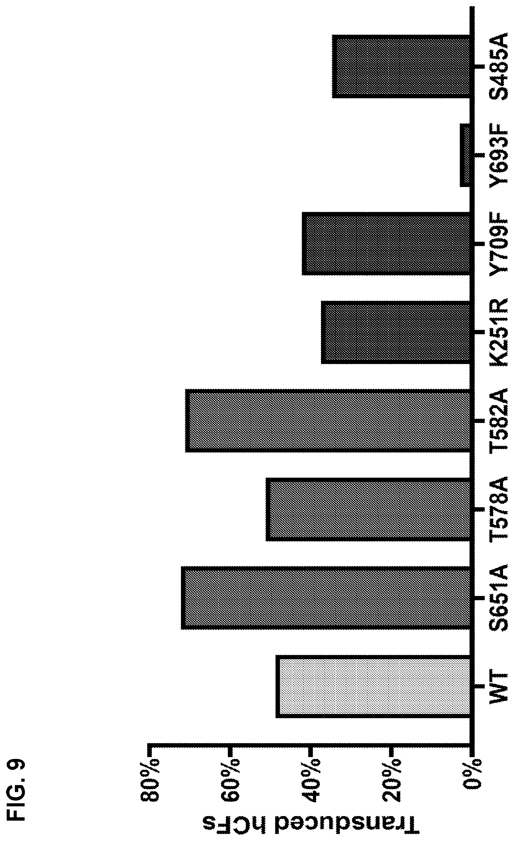Patent US12104165 Figure 12 – Adeno-associated virus with engineered capsid