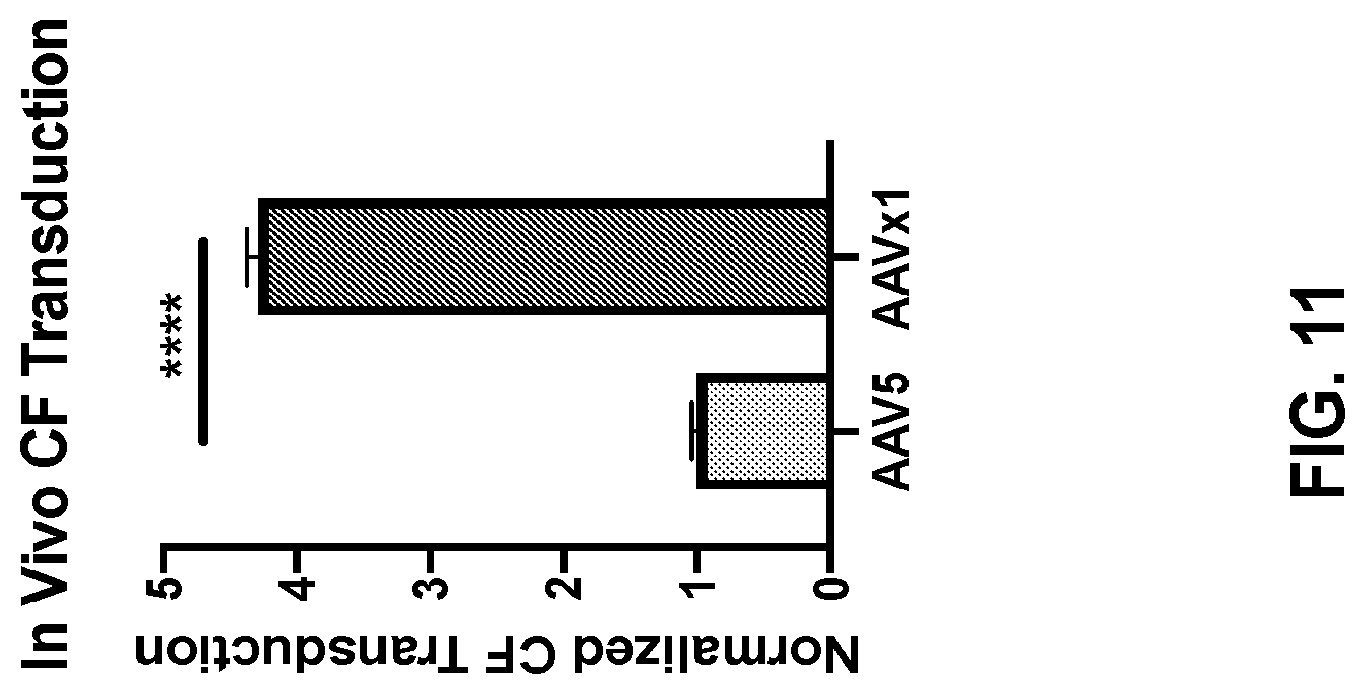Patent US12104165 Figure 14 – Adeno-associated virus with engineered capsid