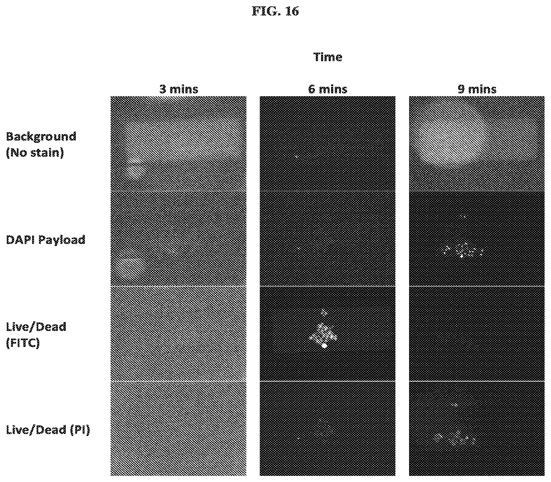 Patent US12104166 Figure 13 – Payload delivery across cell membranes using continuous flow fluidic system