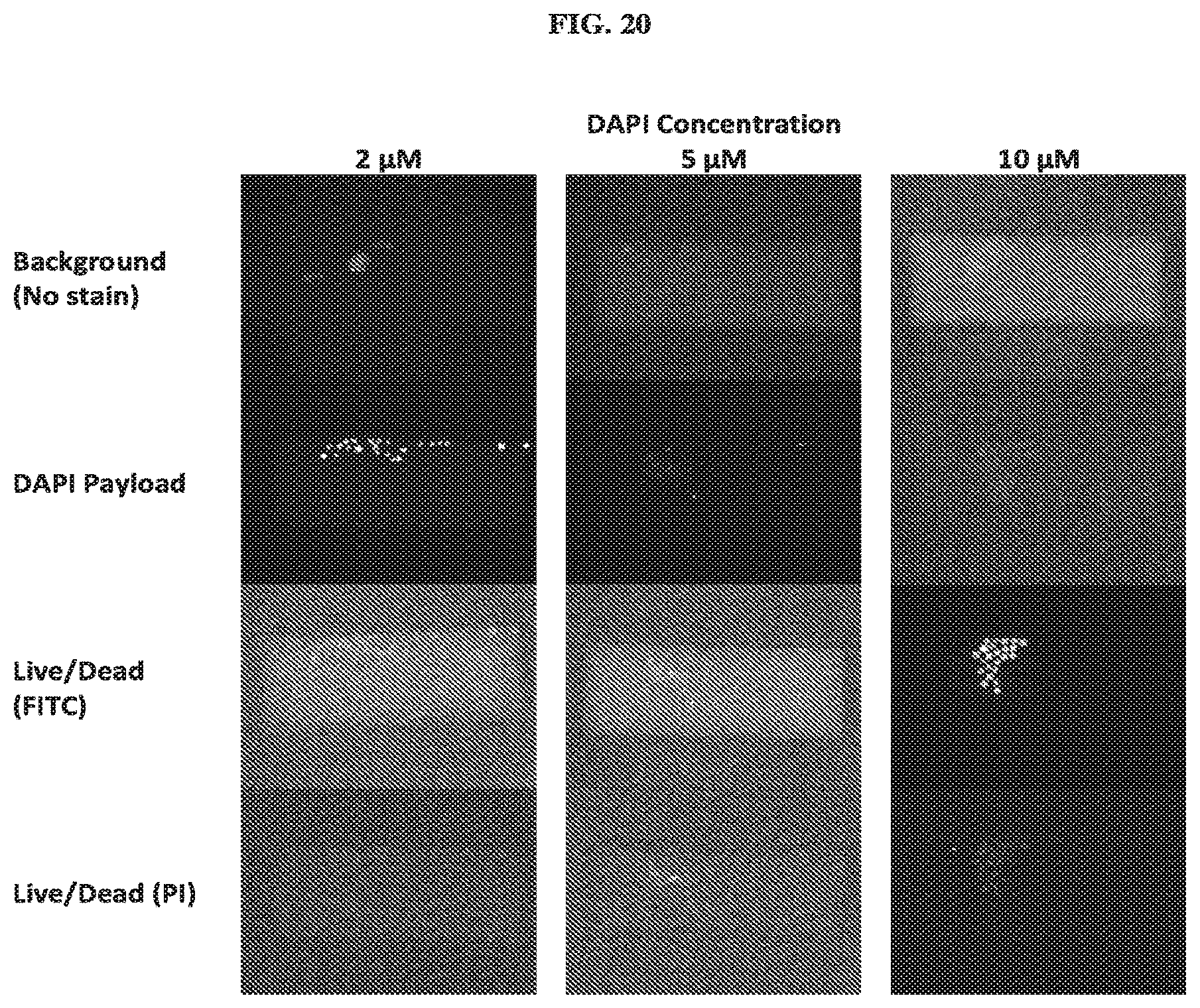 Patent US12104166 Figure 17 – Payload delivery across cell membranes using continuous flow fluidic system