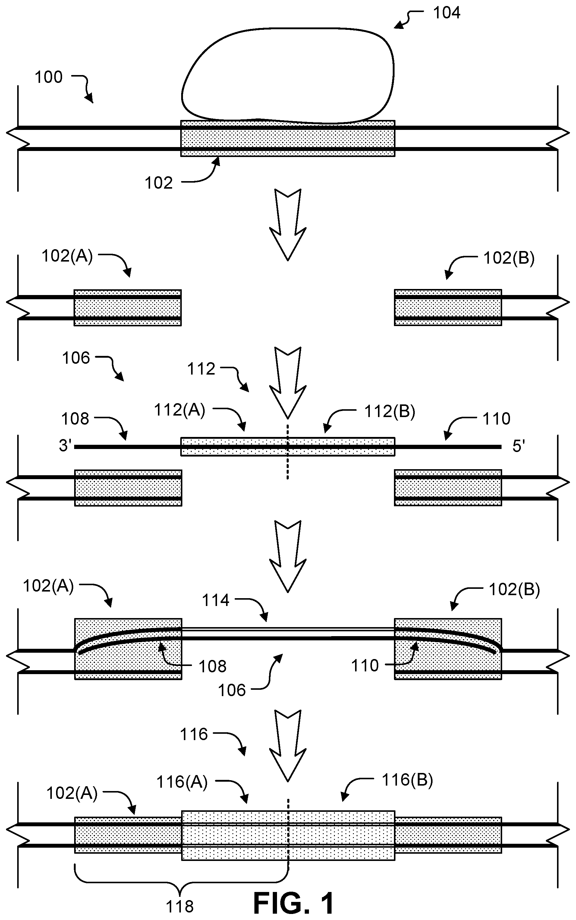Patent US12104167 Figure 1 – Storage through iterative DNA editing